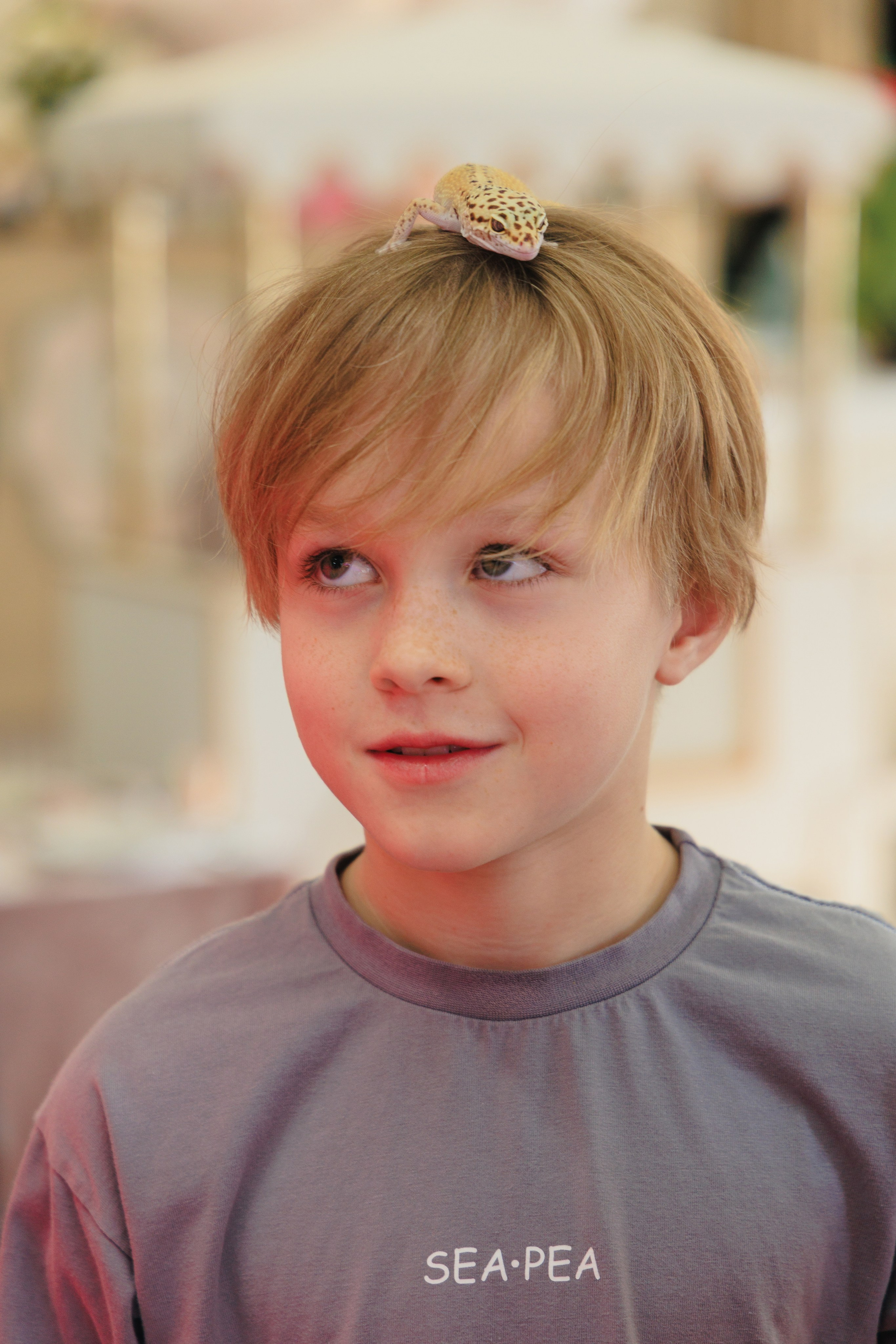 Злате 7 лет | Пуговка. Свадебный фотограф в Минске Владислав Бабич