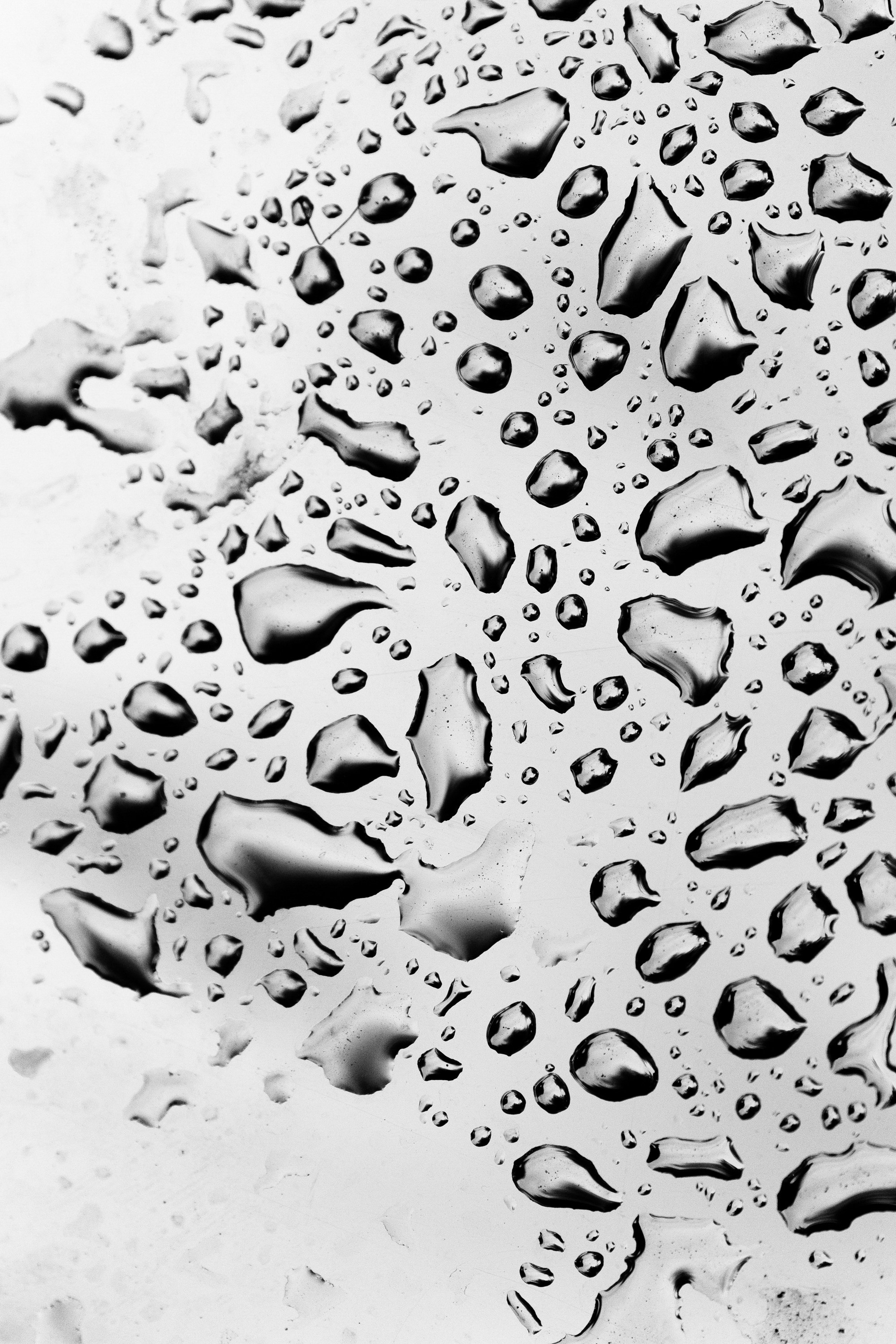 Tanya & Ilya WEDDING. Антон Прокопенков Свадебный Фотограф +7(916) 013-35-12