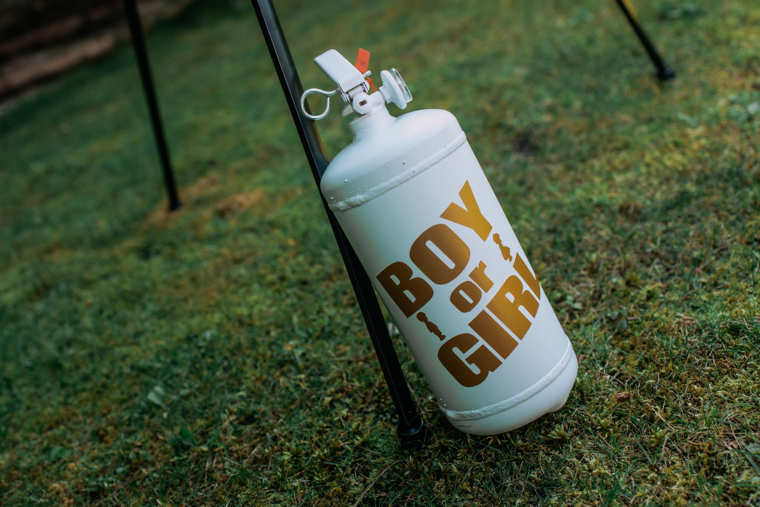 Беременность. Фотограф новорождённых в Москве и МО