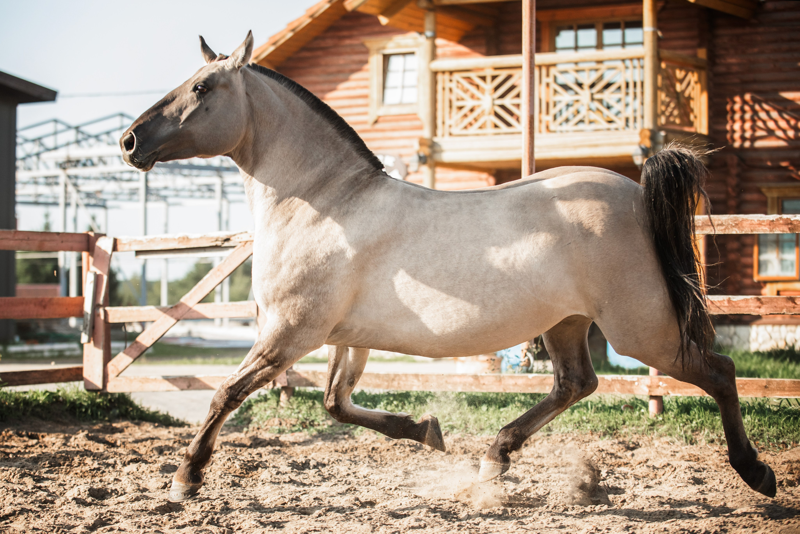 Катя SedlaMSK и Кася с Габи. Конный фотограф Куракина Дарья • Фотосессии с лошадьми