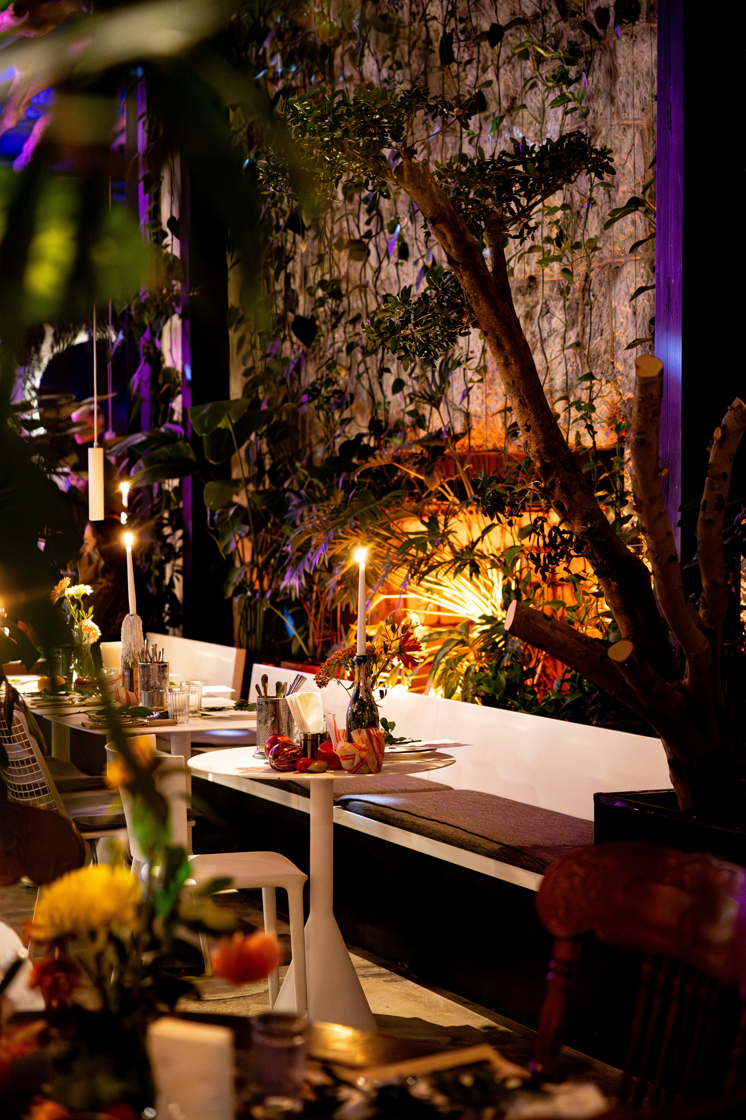 Gastrodvor Итальянский гастро ужин с Zago Mirko. Дженбаз Павел — фотограф в Ялте