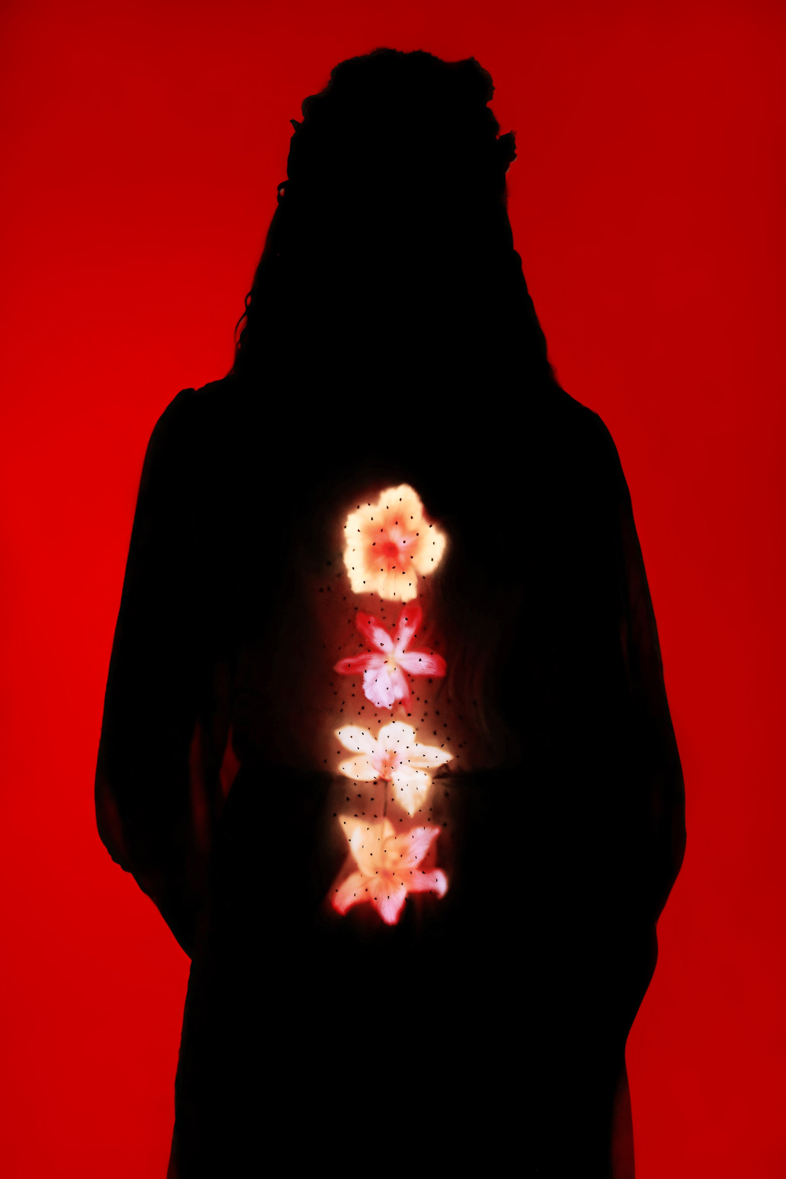 NIGHT FLOWER. Филаткина Дарья | Креативный фотограф