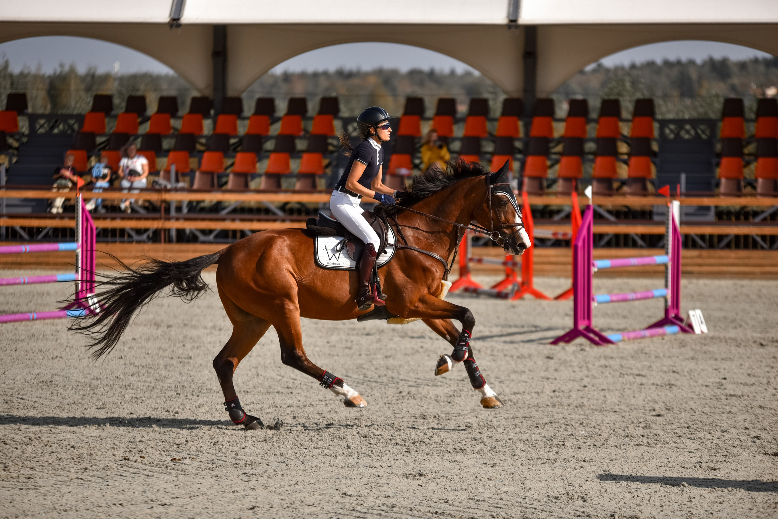 Репортажная съемка конных мероприятий. Конный фотограф из Москвы Ирина Бондаркова