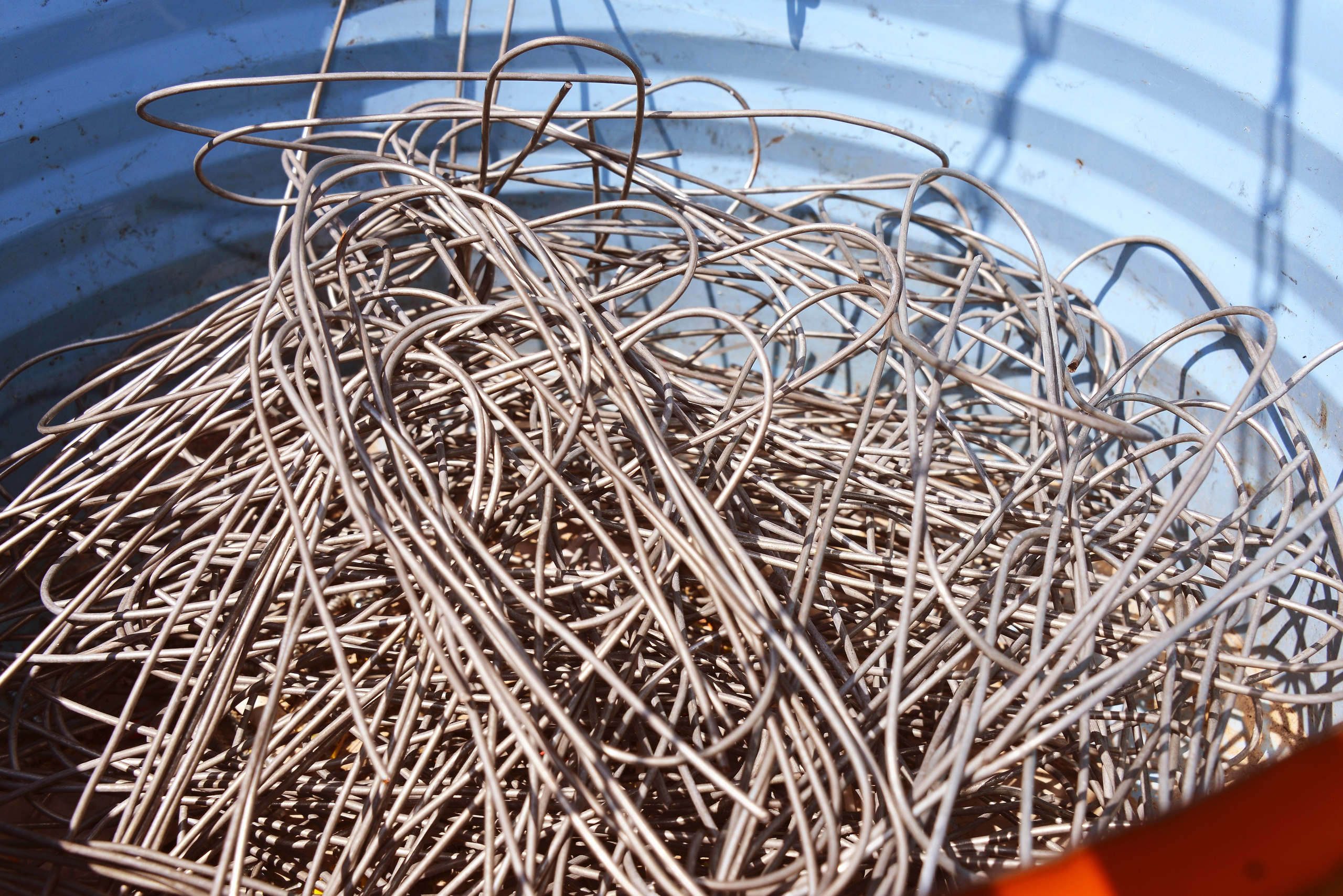 Тимбилдинг-2. Фотосъёмка. Фотограф Сергей Авдеев-семейный и детский фотограф в Алматы