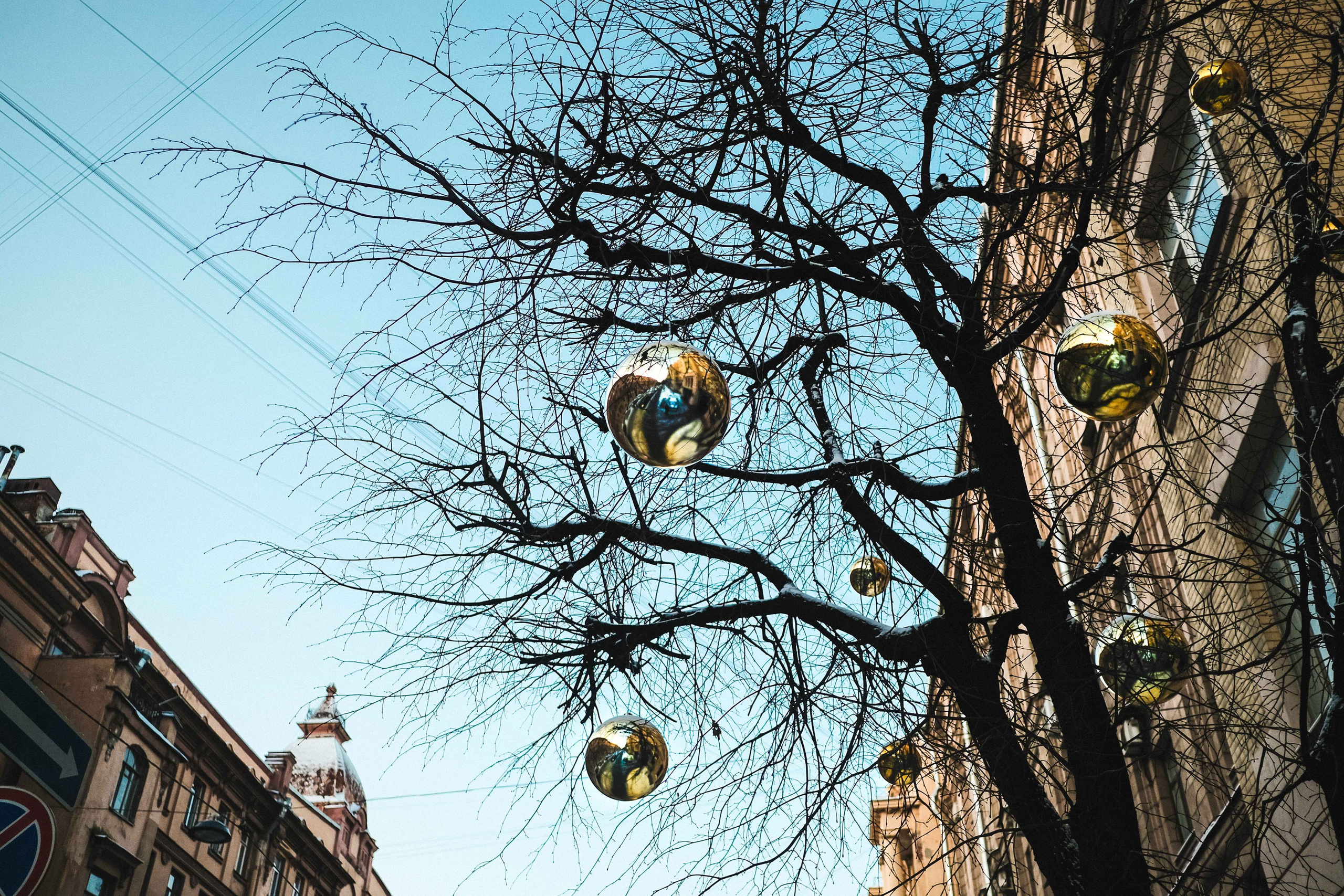 2021.12. Фотограф Алексей Алексеев