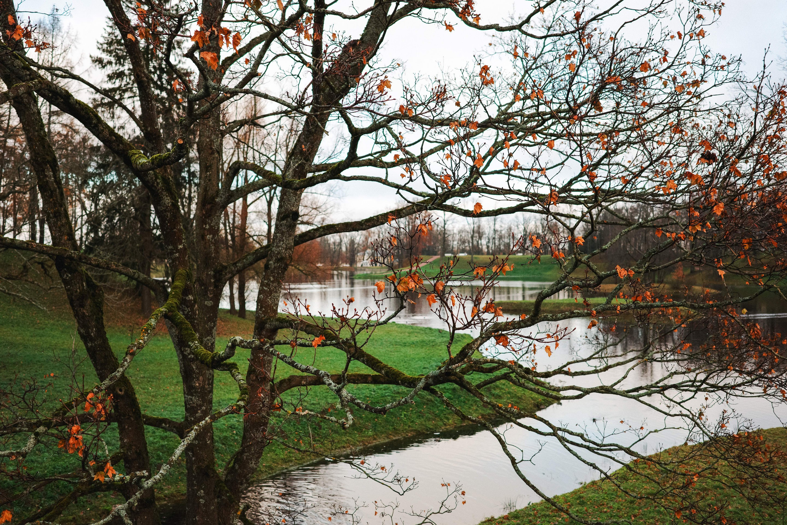 2024.11. Фотограф Алексей Алексеев