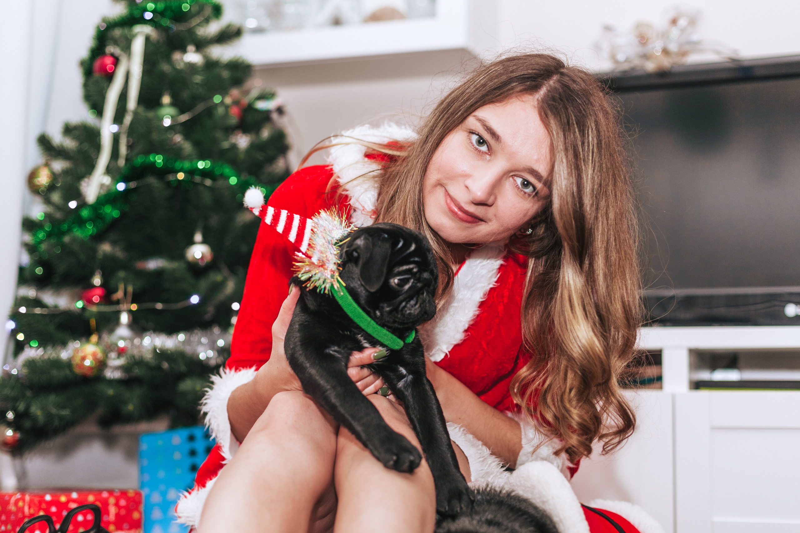 Домашняя фотосессия Оли и двух ее мопсов. Фотограф-анималист Татьяна Степанова