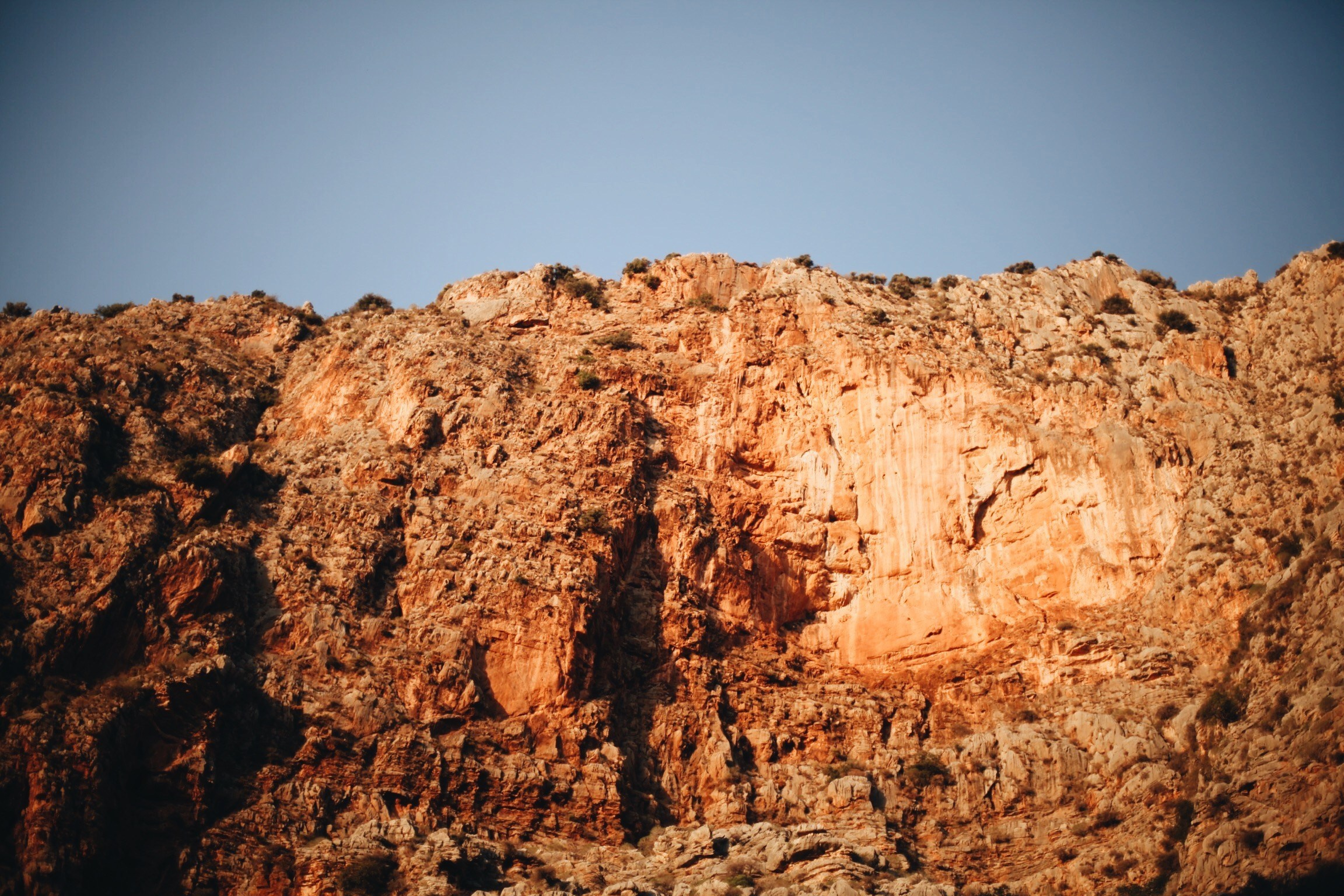 Волна. Ксения Плотникова