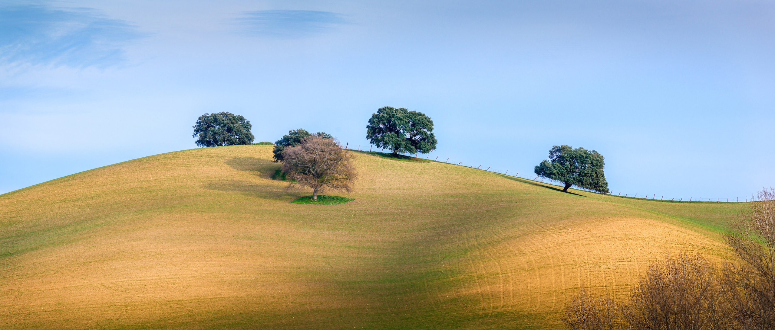 Панорамные фотографии для интерьера Вашего дома, квартиры, офиса или д. Авторские стильные фотокартины