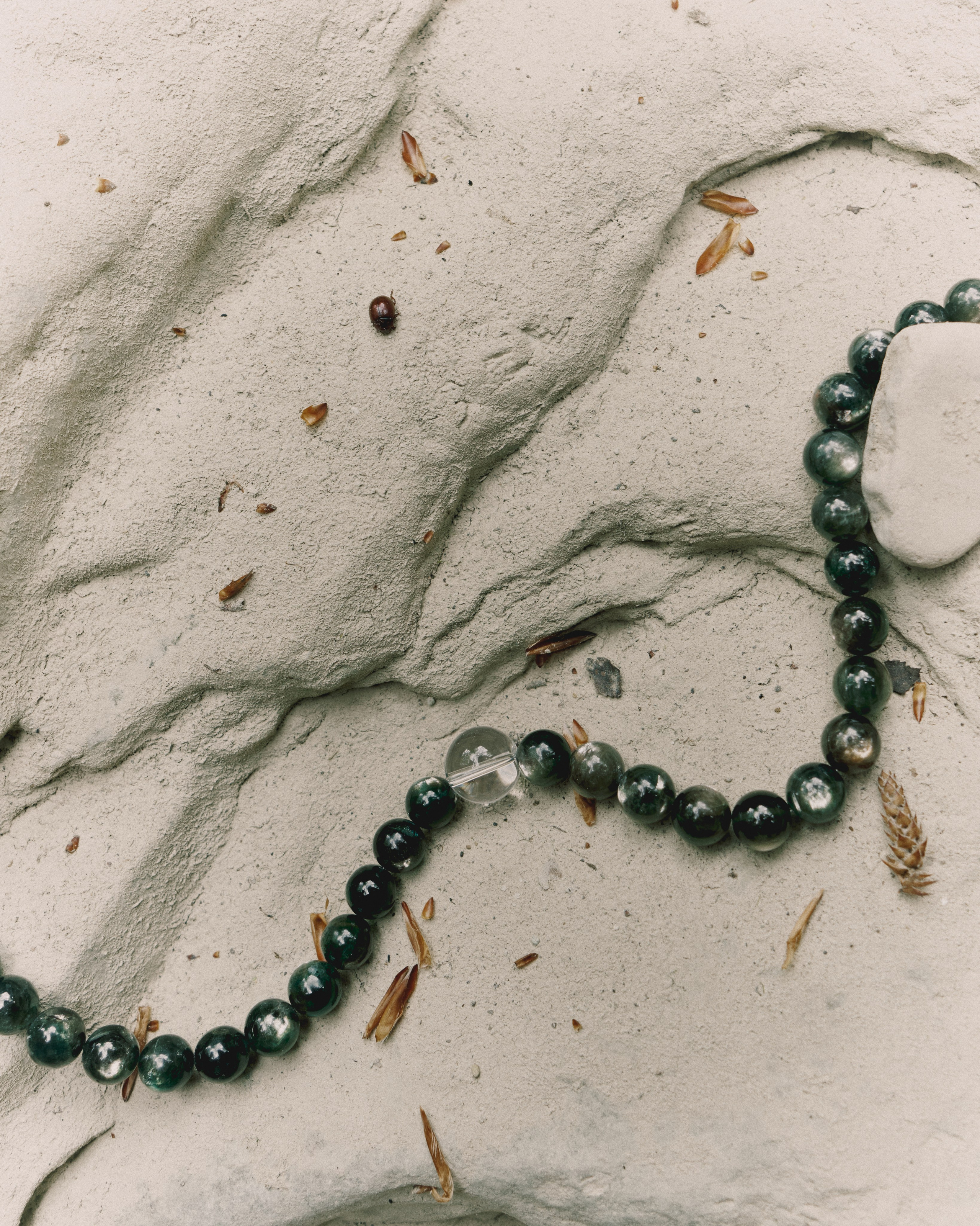 Content for OMNIS. DISEMICHASNOVA