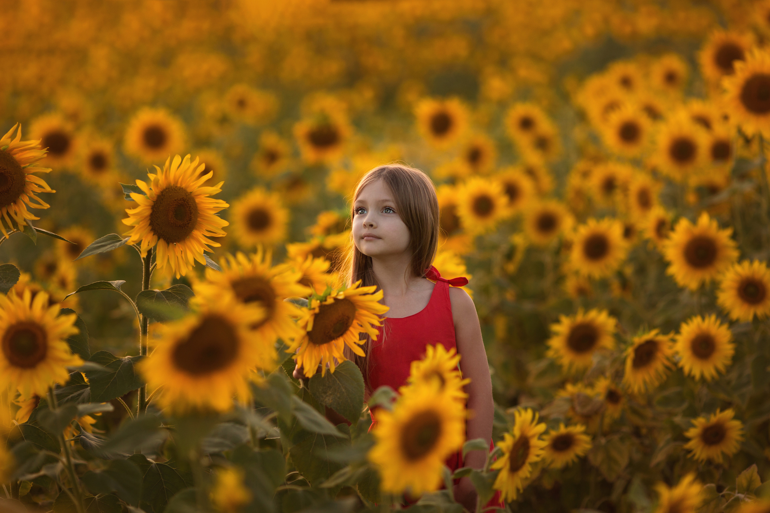 Семейные фотосессии. Семейный и свадебный фотограф в москве марина сорокина