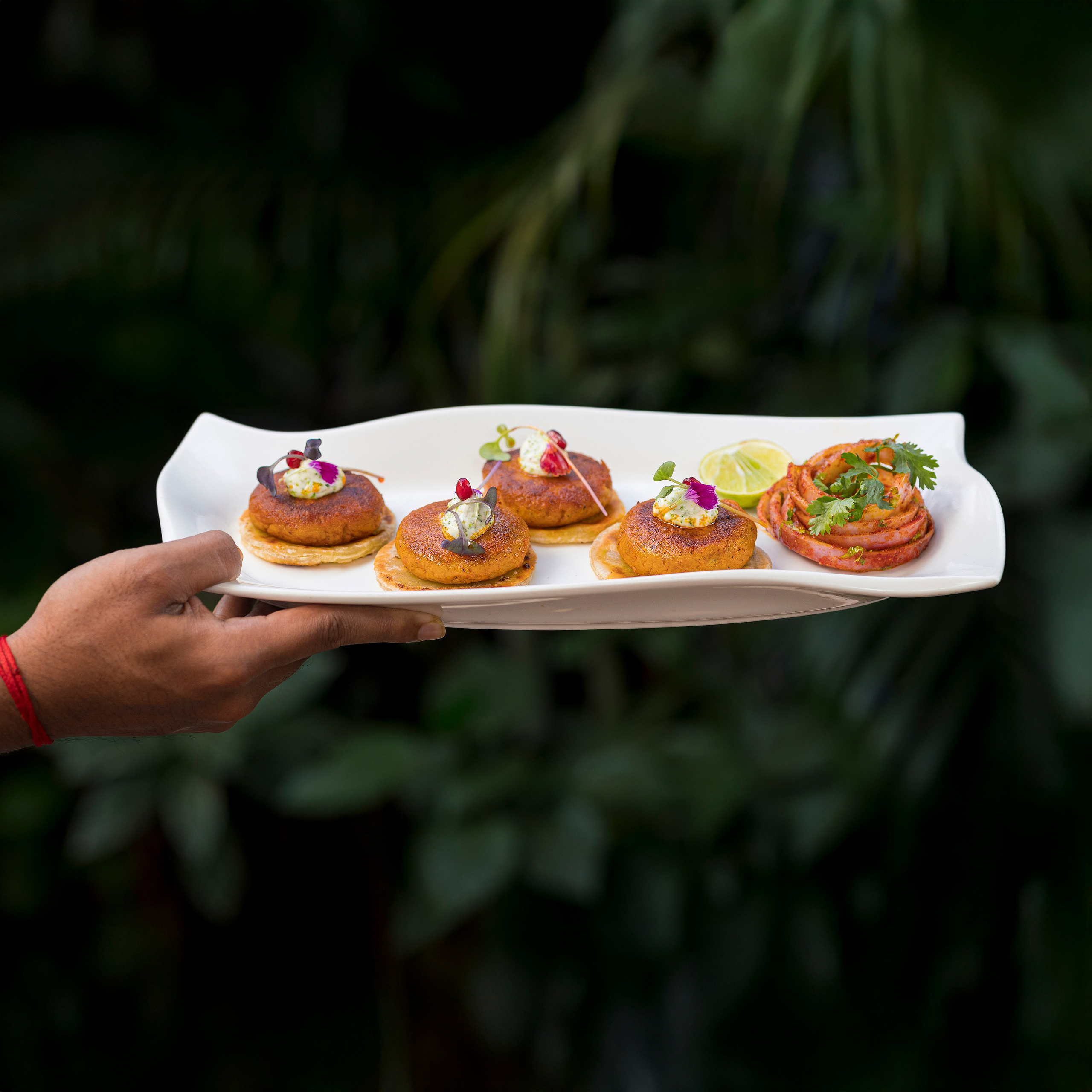 Food photo. Photos et vidéos émouvantes et touchantes