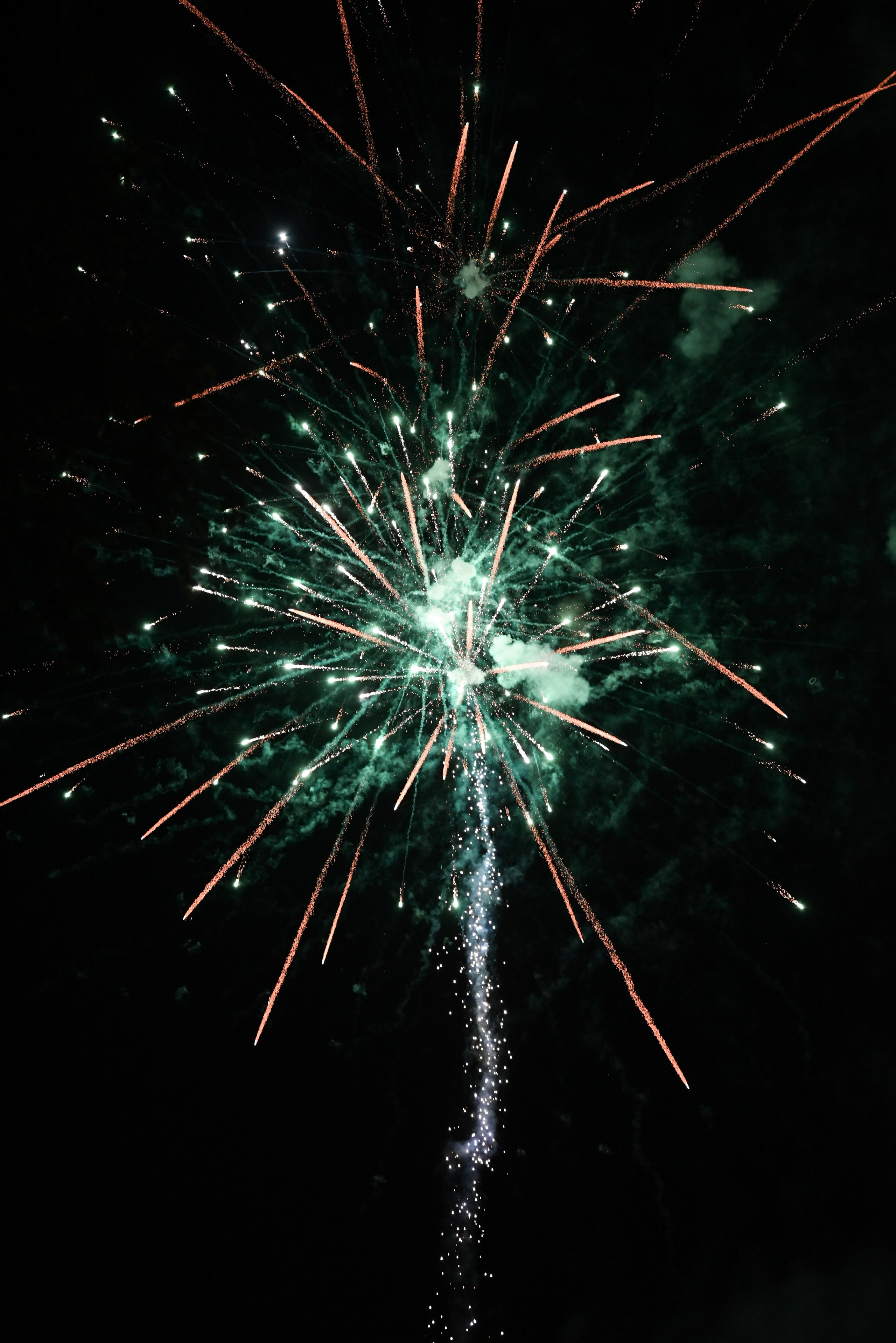 В гармонии с природой. Свадебный и семейный фотограф в Уфе Александров Максим