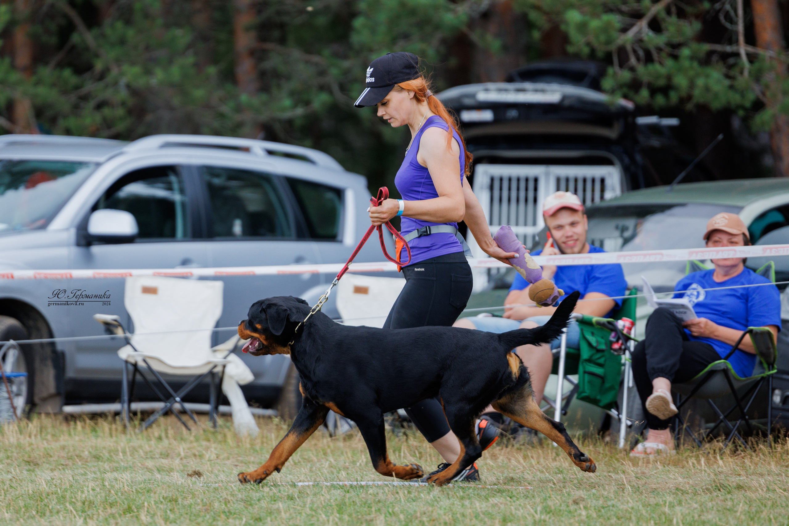 ПК и КЧК ротвейлеры Тверь 6-7.07.2024. Фотограф-анималист Юлия Германика