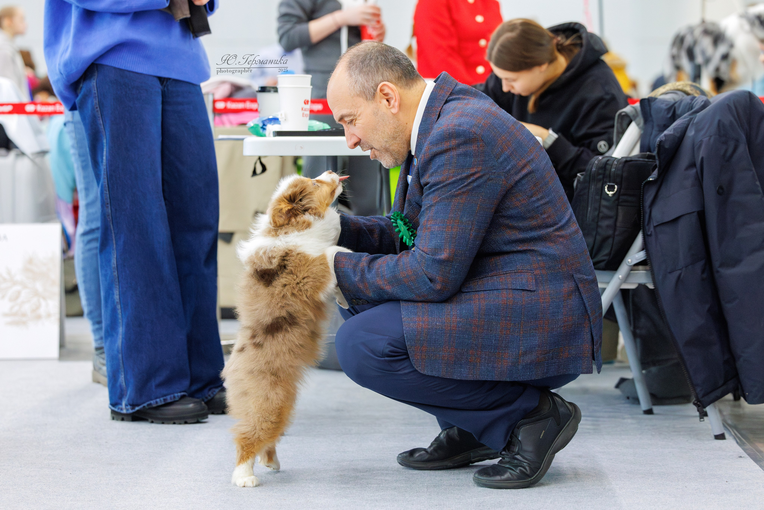 Сабанеевка Казань 25-26.01.2025. Фотограф-анималист Юлия Германика