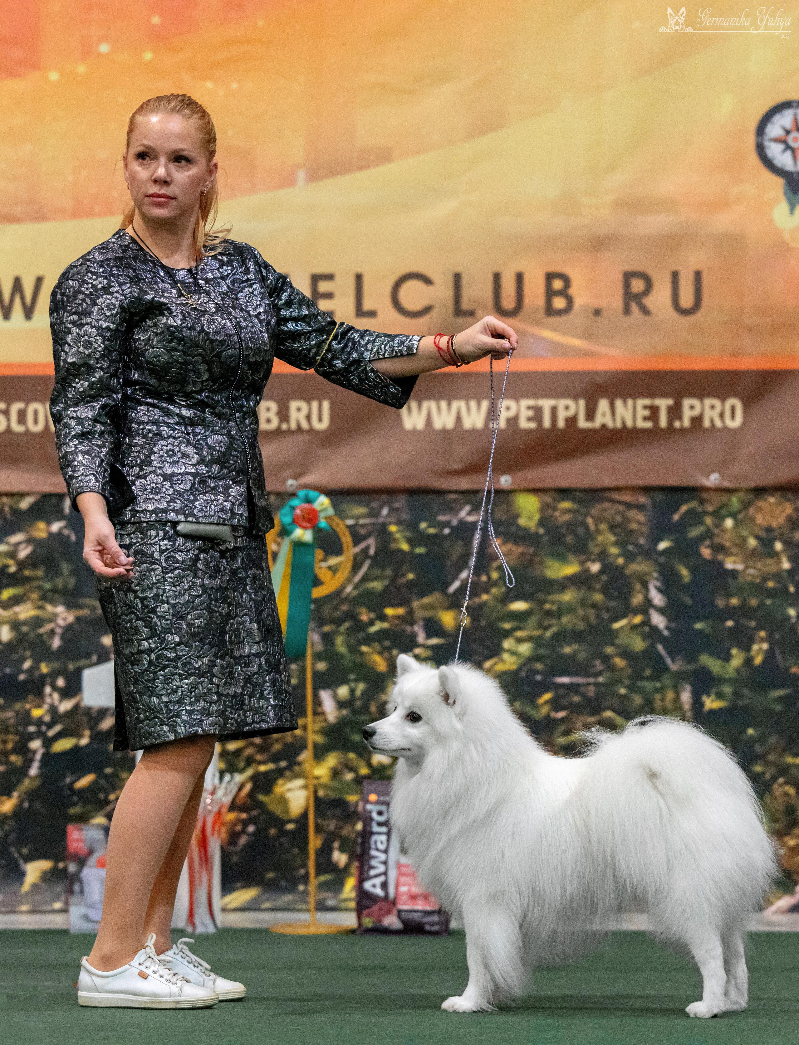 Сфера 29.10,Крокус 4.11,Сфера 12.11.2023. Фотограф-анималист Юлия Германика