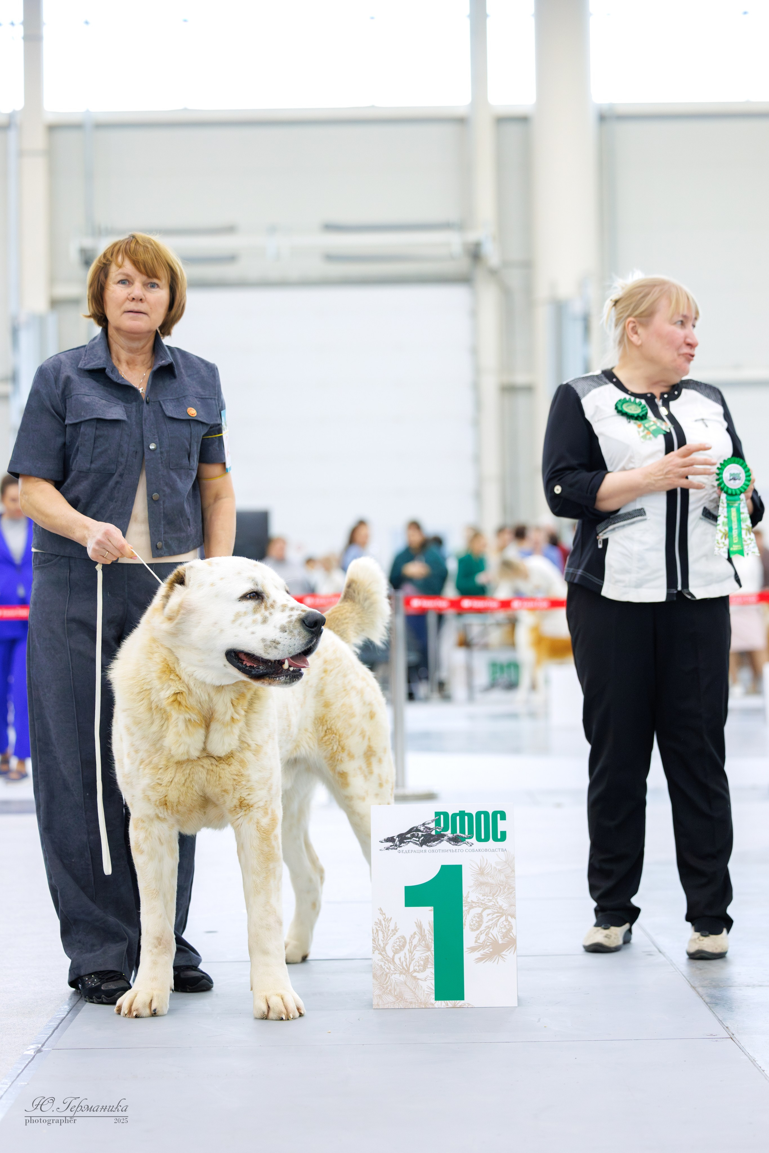 Сабанеевка Казань 25-26.01.2025. Фотограф-анималист Юлия Германика