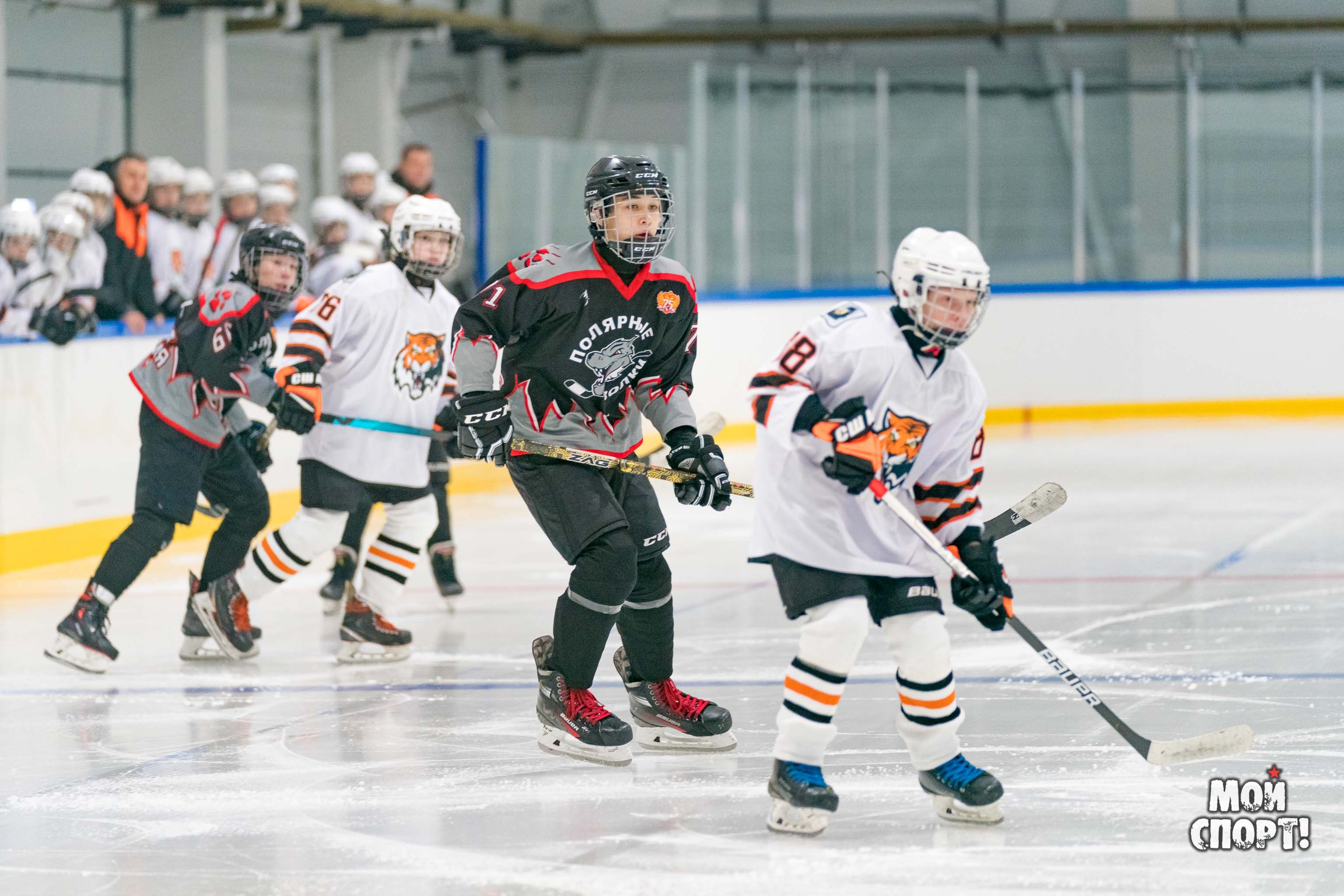 Первенство ДФО по хоккею. Студия «Мой Спорт!» — все о спорте в Якутии