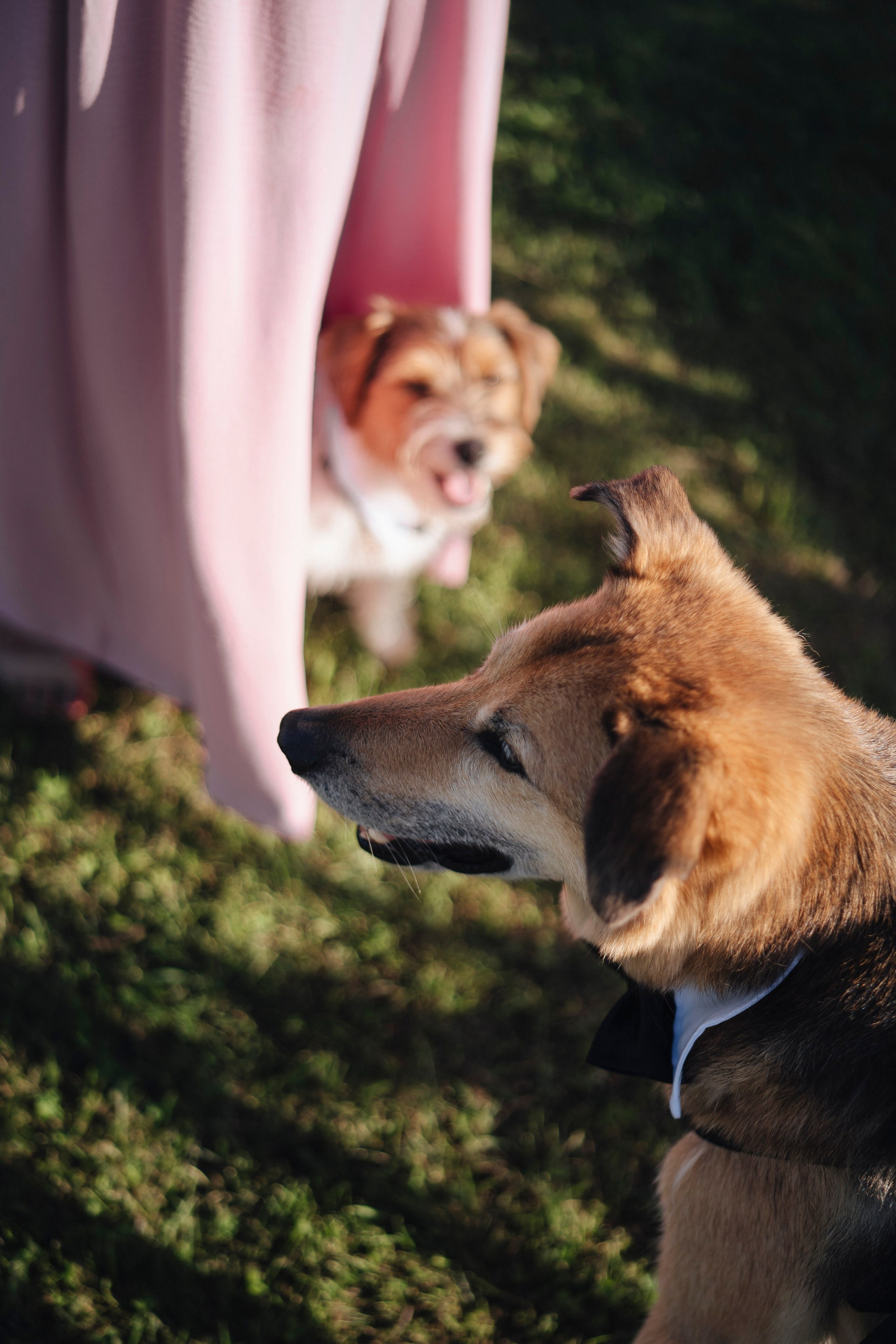 Нелли и Александр. Фотограф в Москве Людмила Денисенко