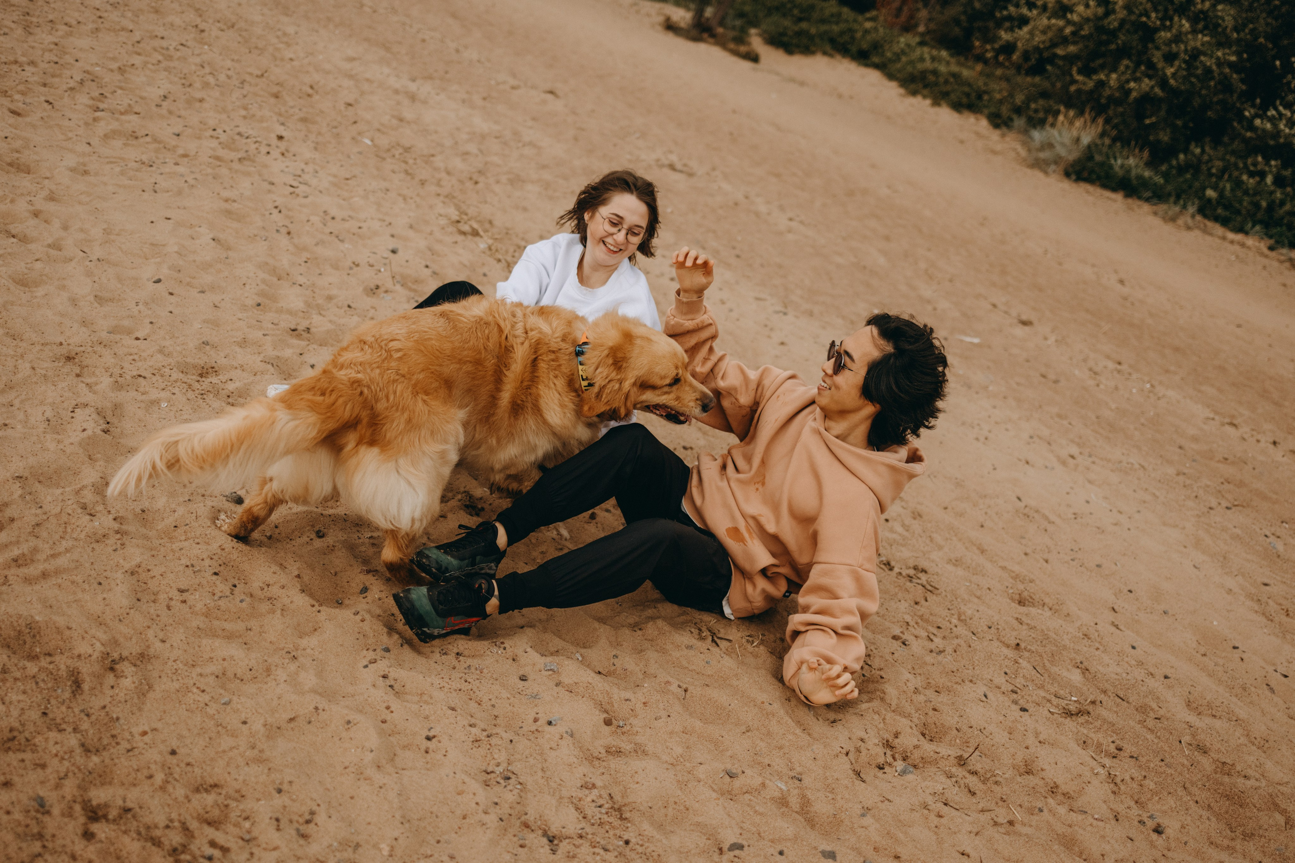 Фоси и его семьи. Фотограф — Анималист | Санкт-Петербург