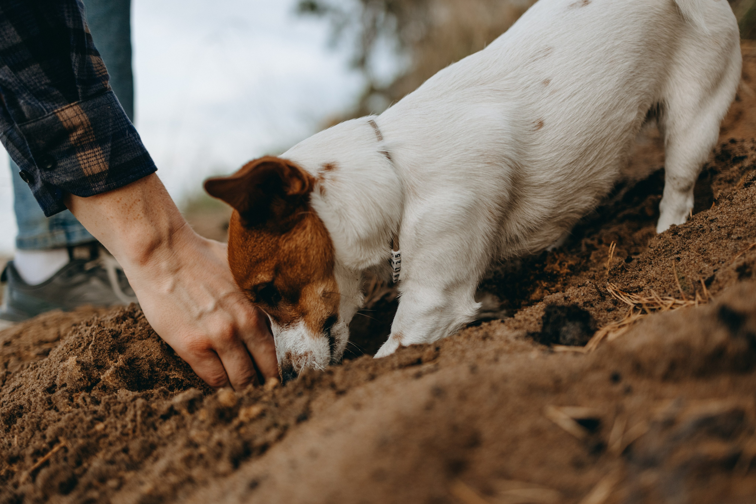 Лея и ее семья. Фотограф — Анималист | Санкт-Петербург