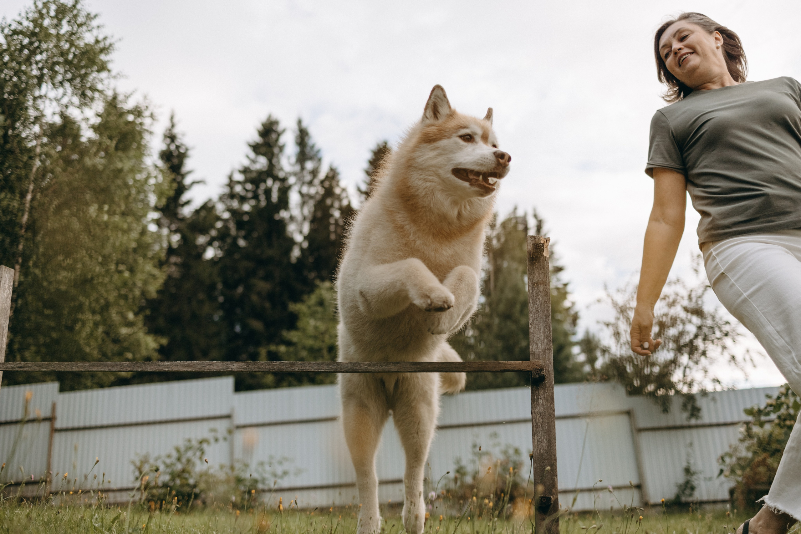 Дом у реки. Фотограф — Анималист | Санкт-Петербург