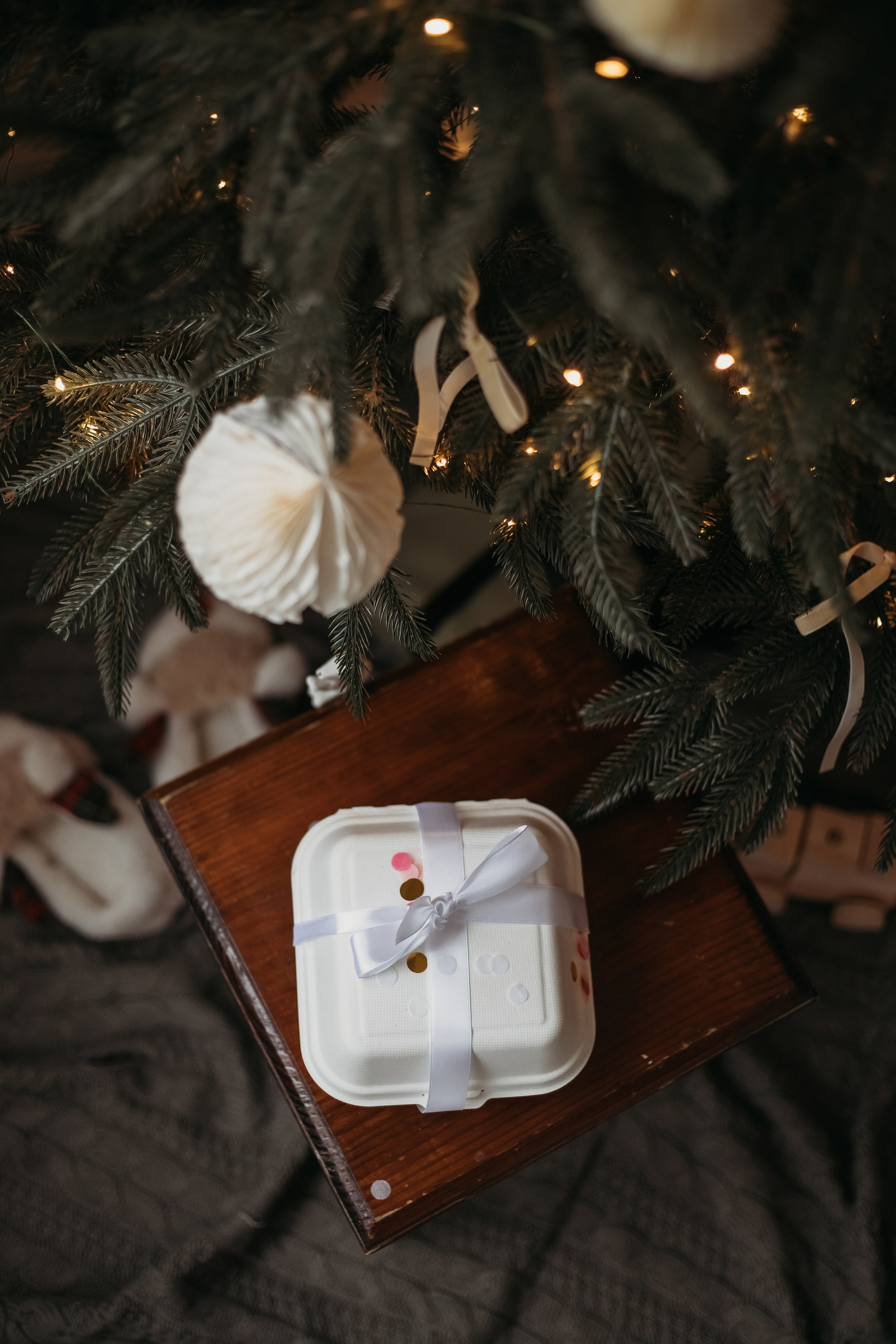 Майя. Семейный и детский фотограф Минск, Беларусь