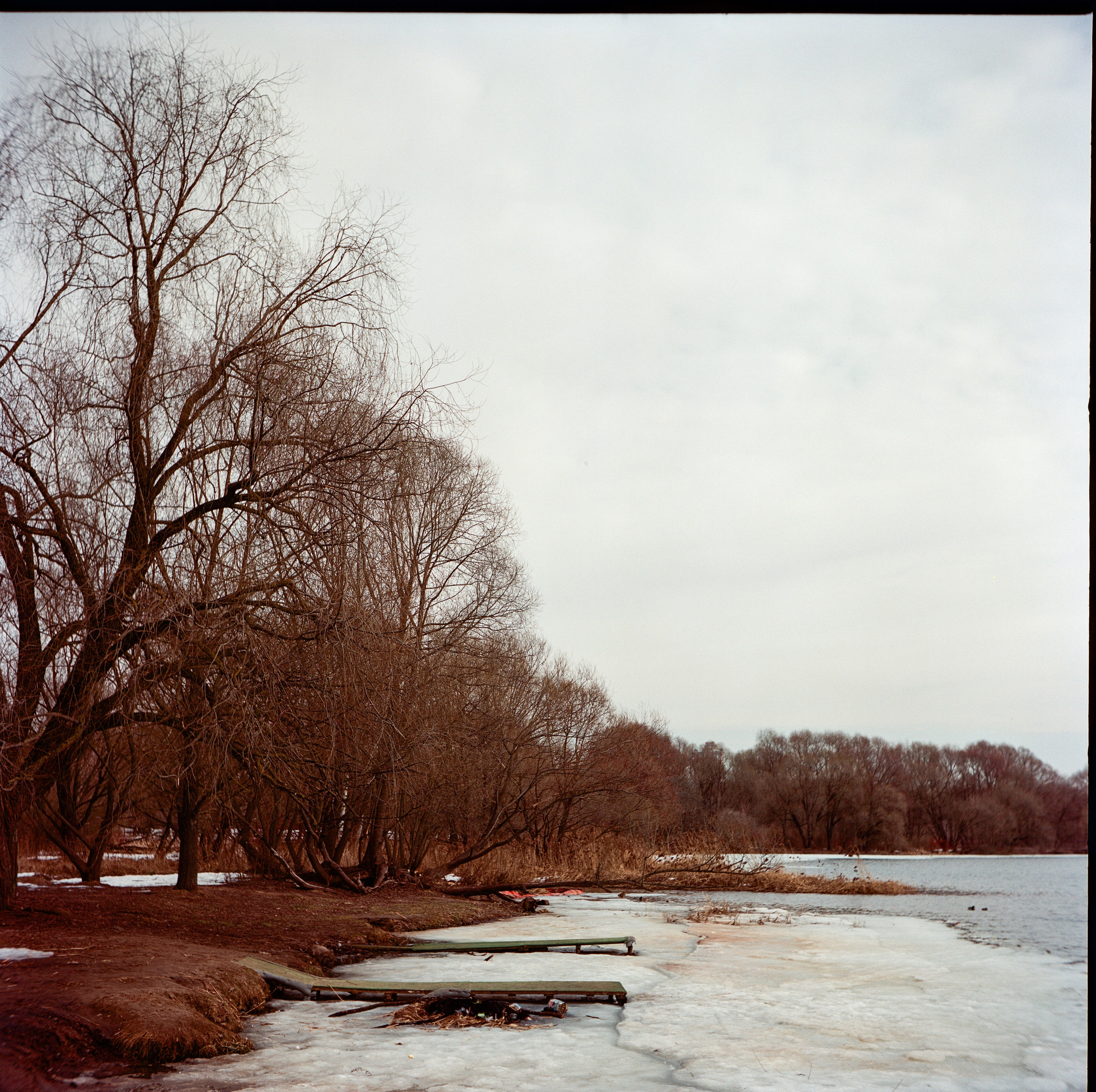 Walzflex с объективом Nitto Kogaku Kominar 75 mm f/3.5 / Aerocolor IV