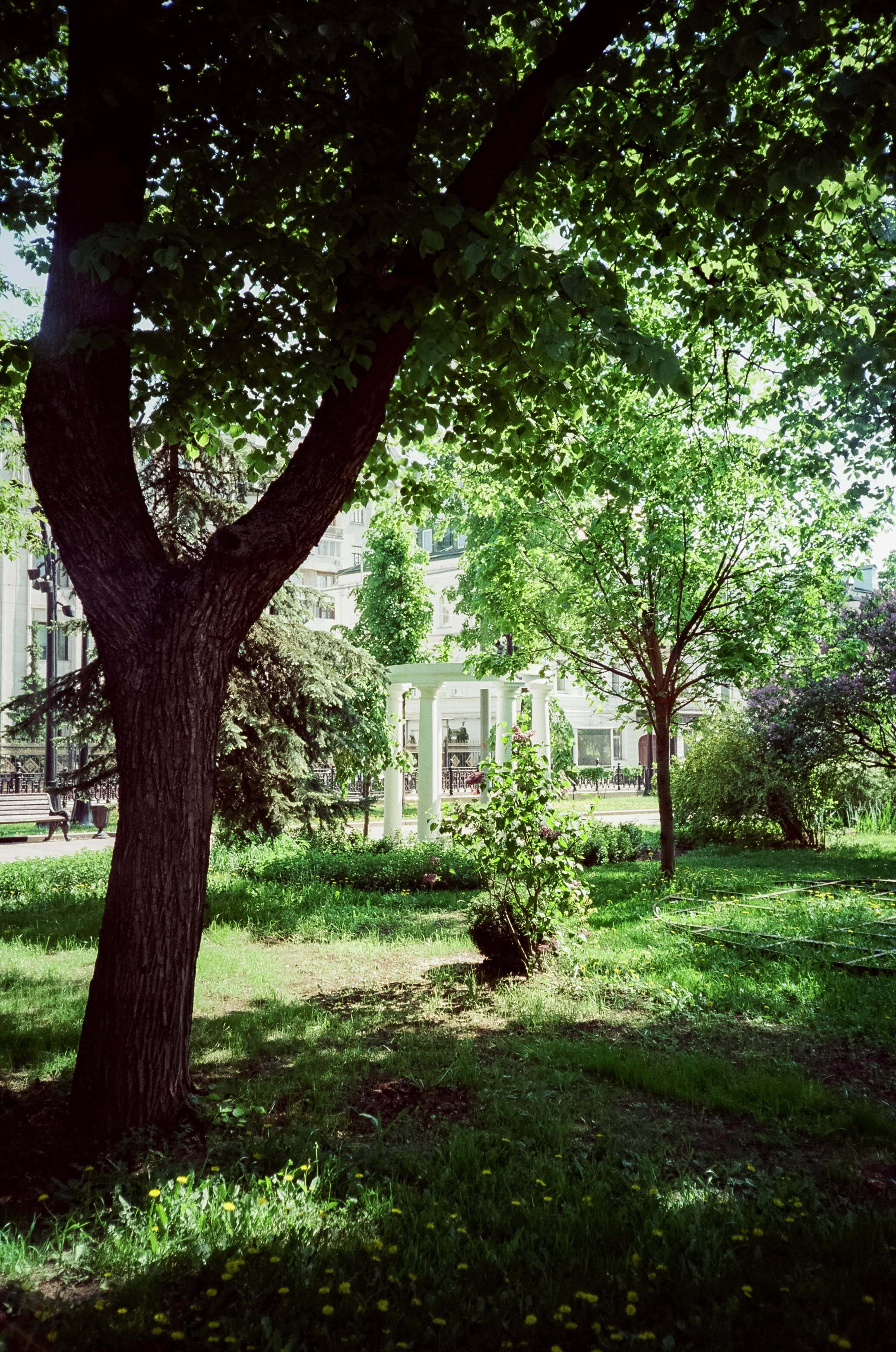 SFL 200T (Kodak Vision3 200T) примеры фотографий
