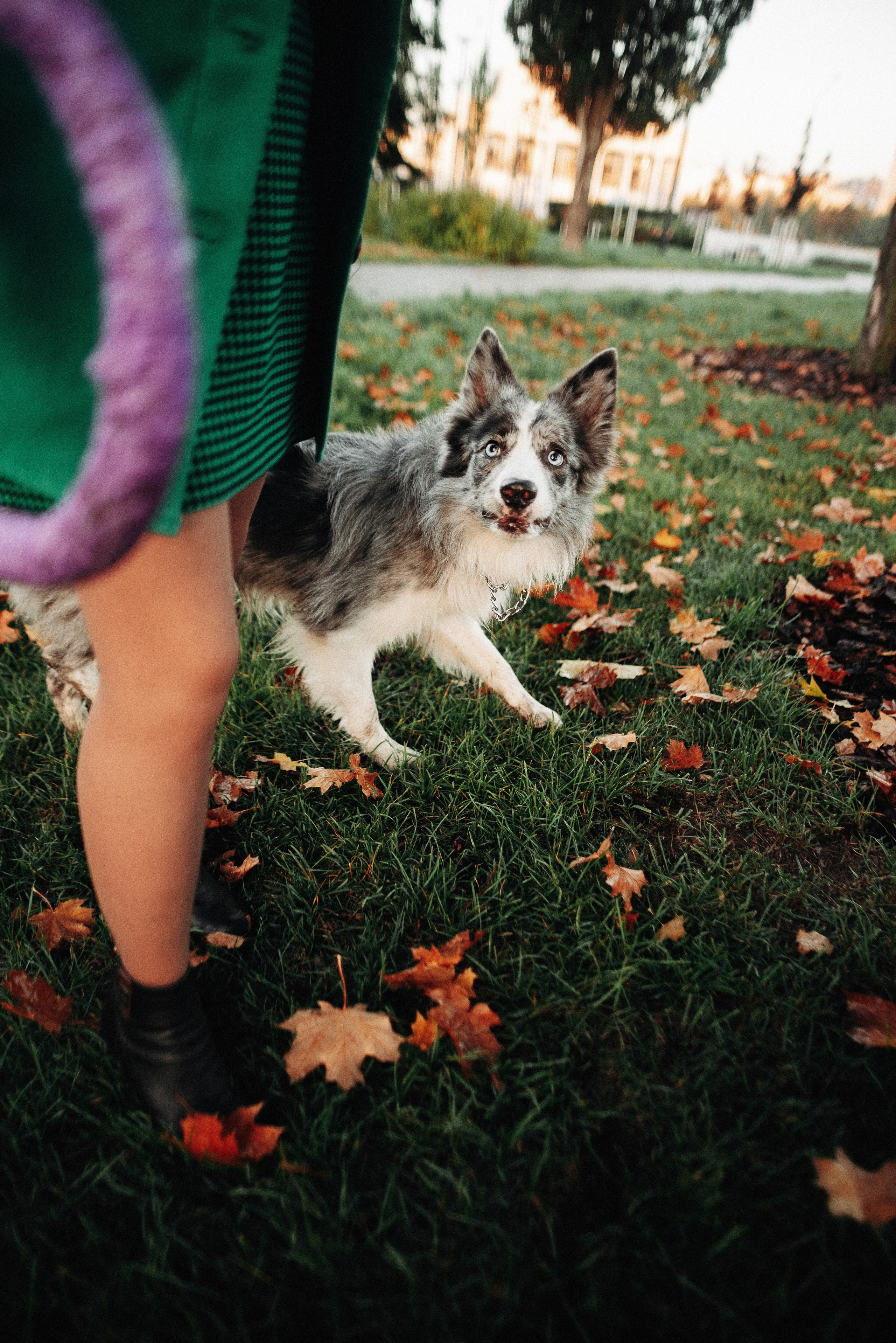 Диана и Робин. Фотограф-анималист Богданова Полина