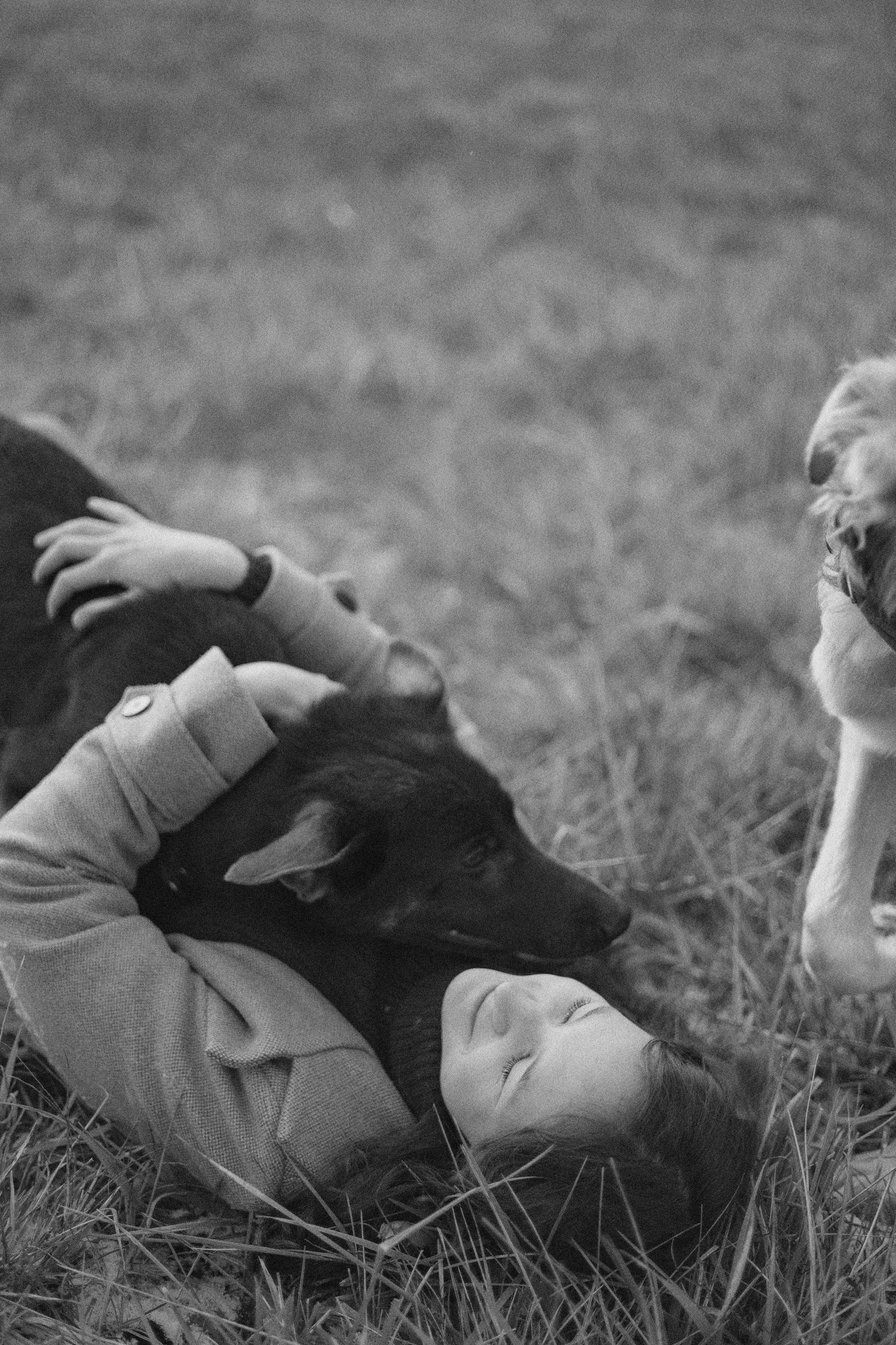 Алена, Леви и Микаса. Фотограф-анималист Богданова Полина