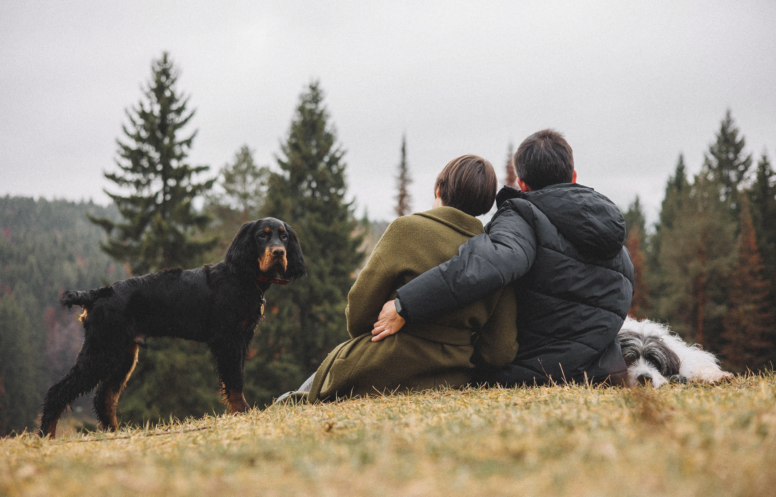 Даша, Глеб, Барс и Бруно. Фотограф-анималист Богданова Полина