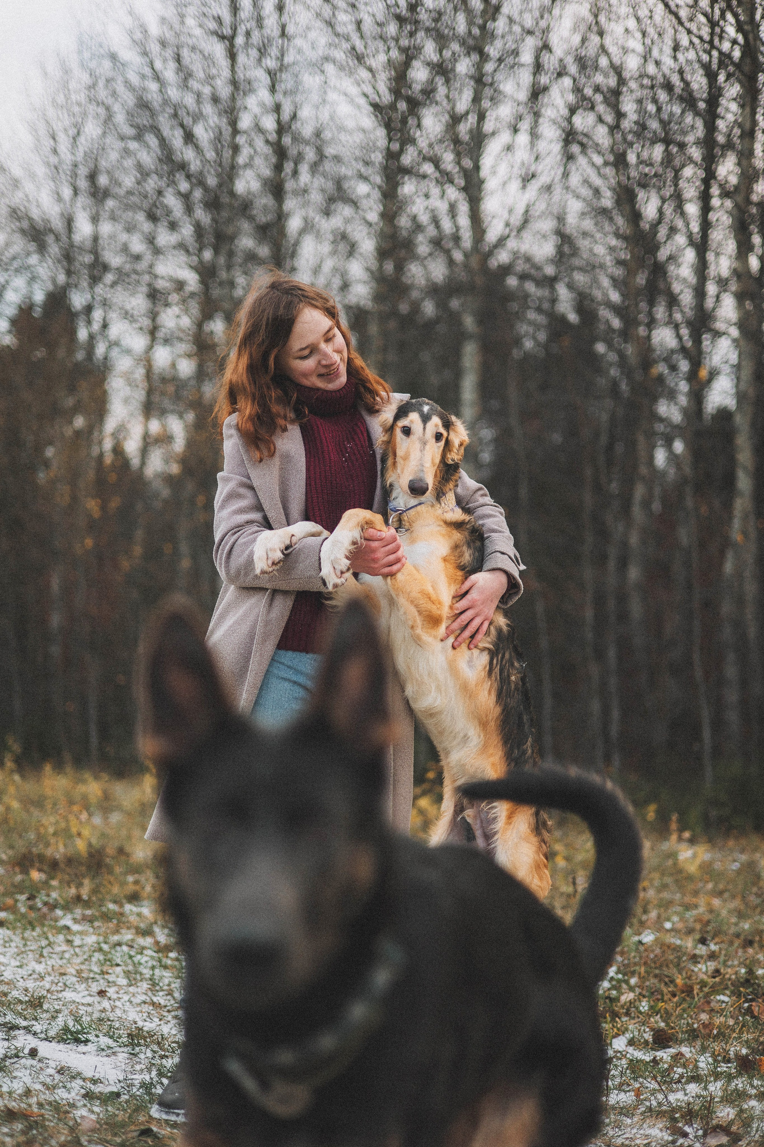 Алена, Леви и Микаса. Фотограф-анималист Богданова Полина