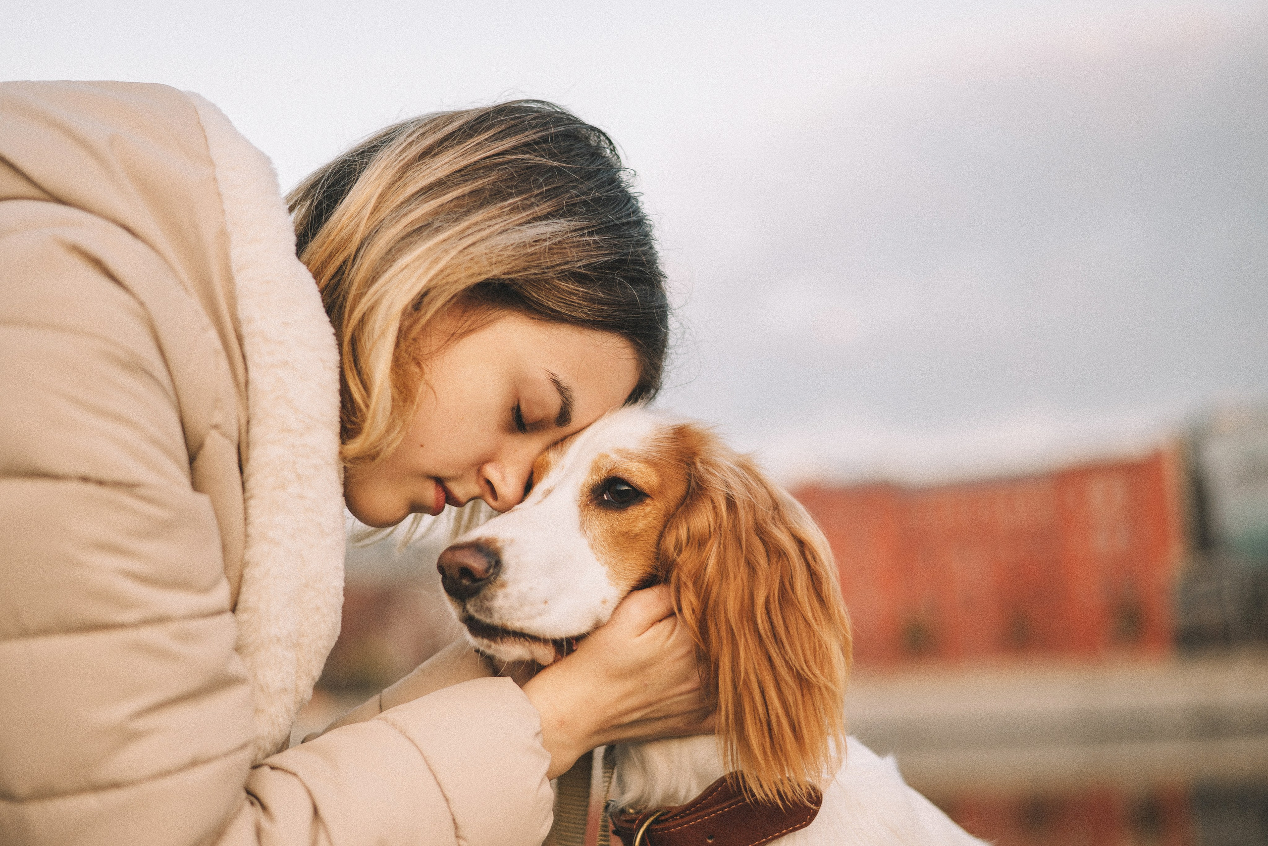 Маша и Вега. Фотограф-анималист Богданова Полина