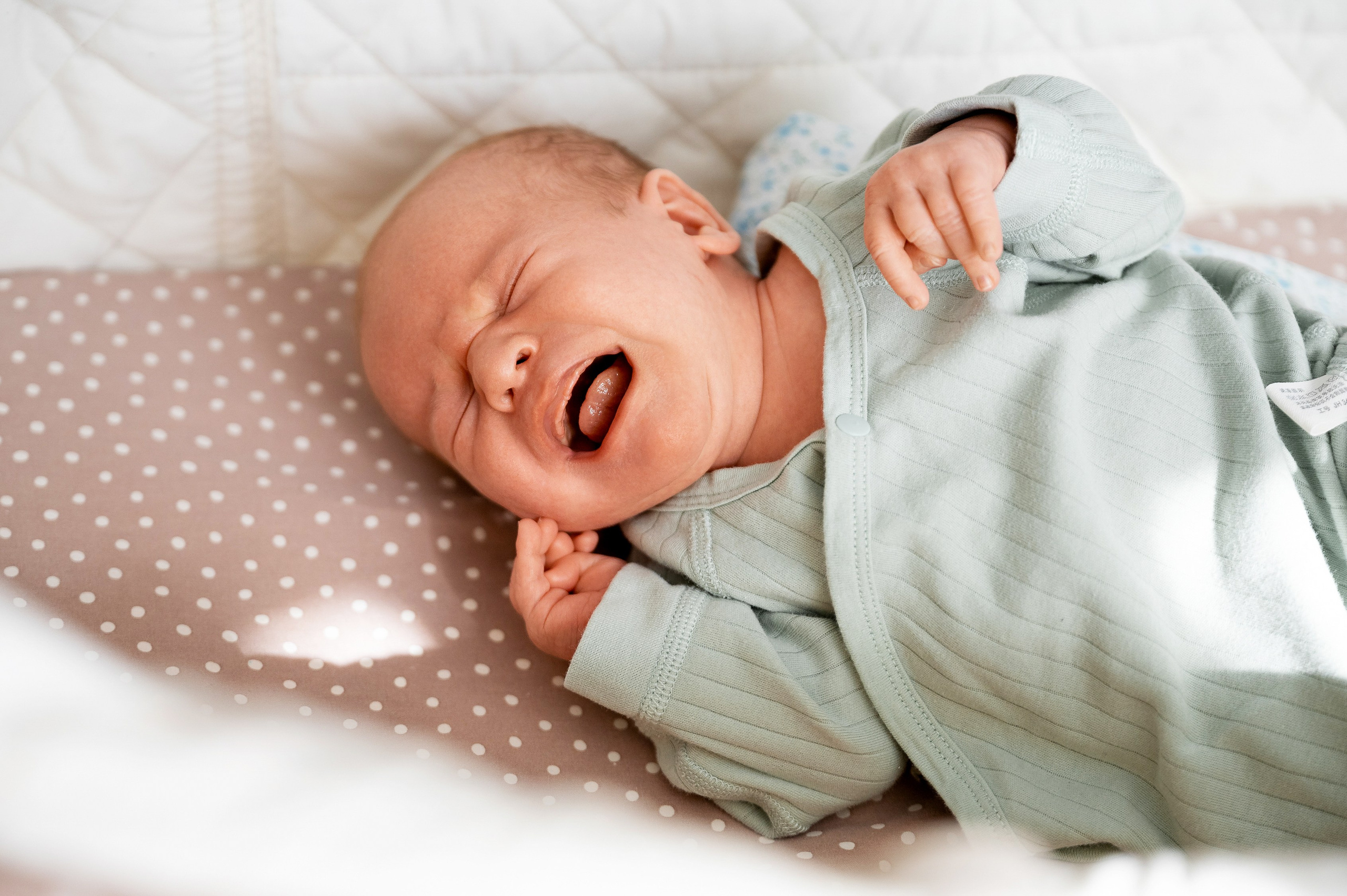 Мальчишки. Свадебный, семейный и репортажный фотограф. Брянск. Эльвира Голенкова