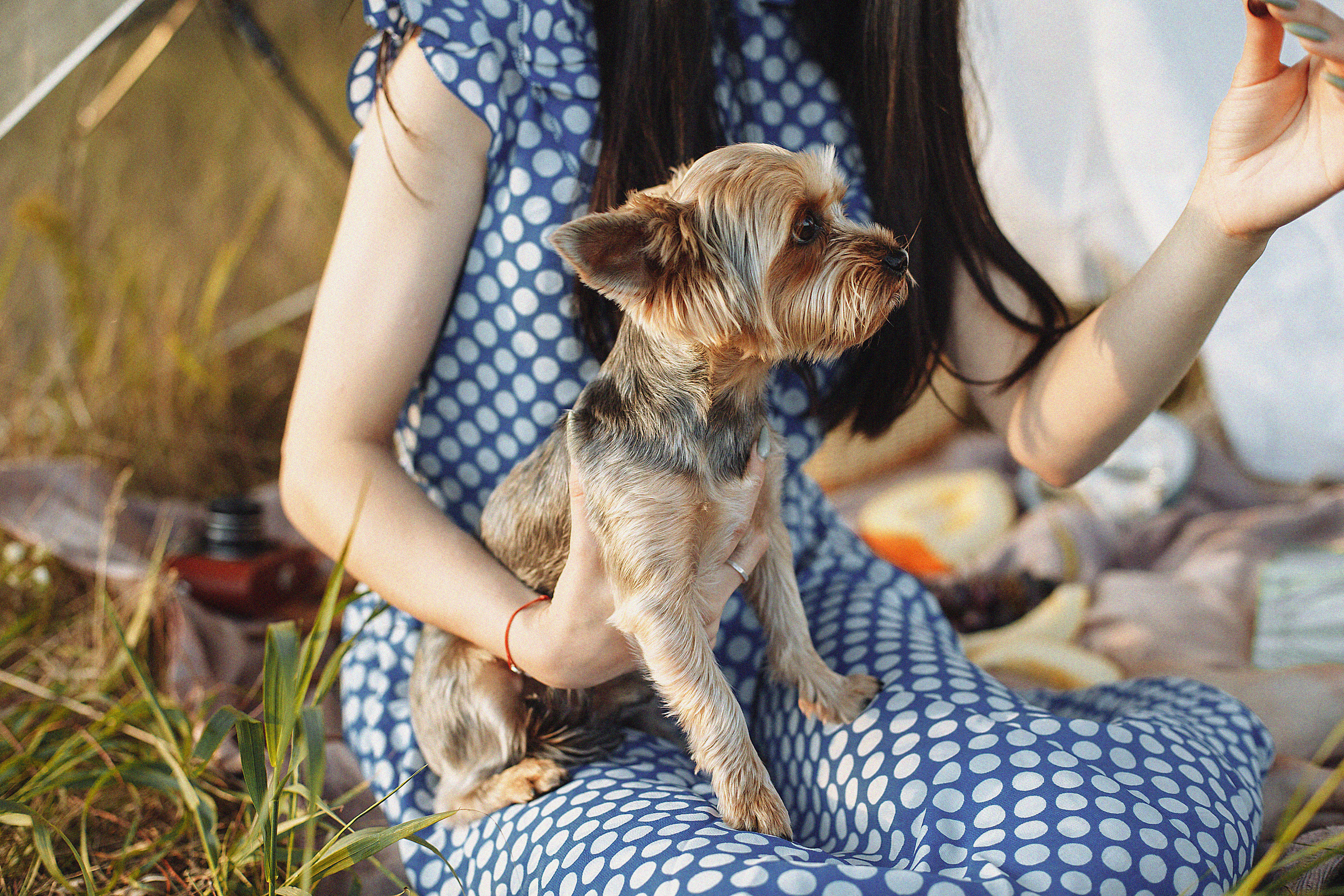 Анна. Семейный фотограф в Омске Самсонова Наталья