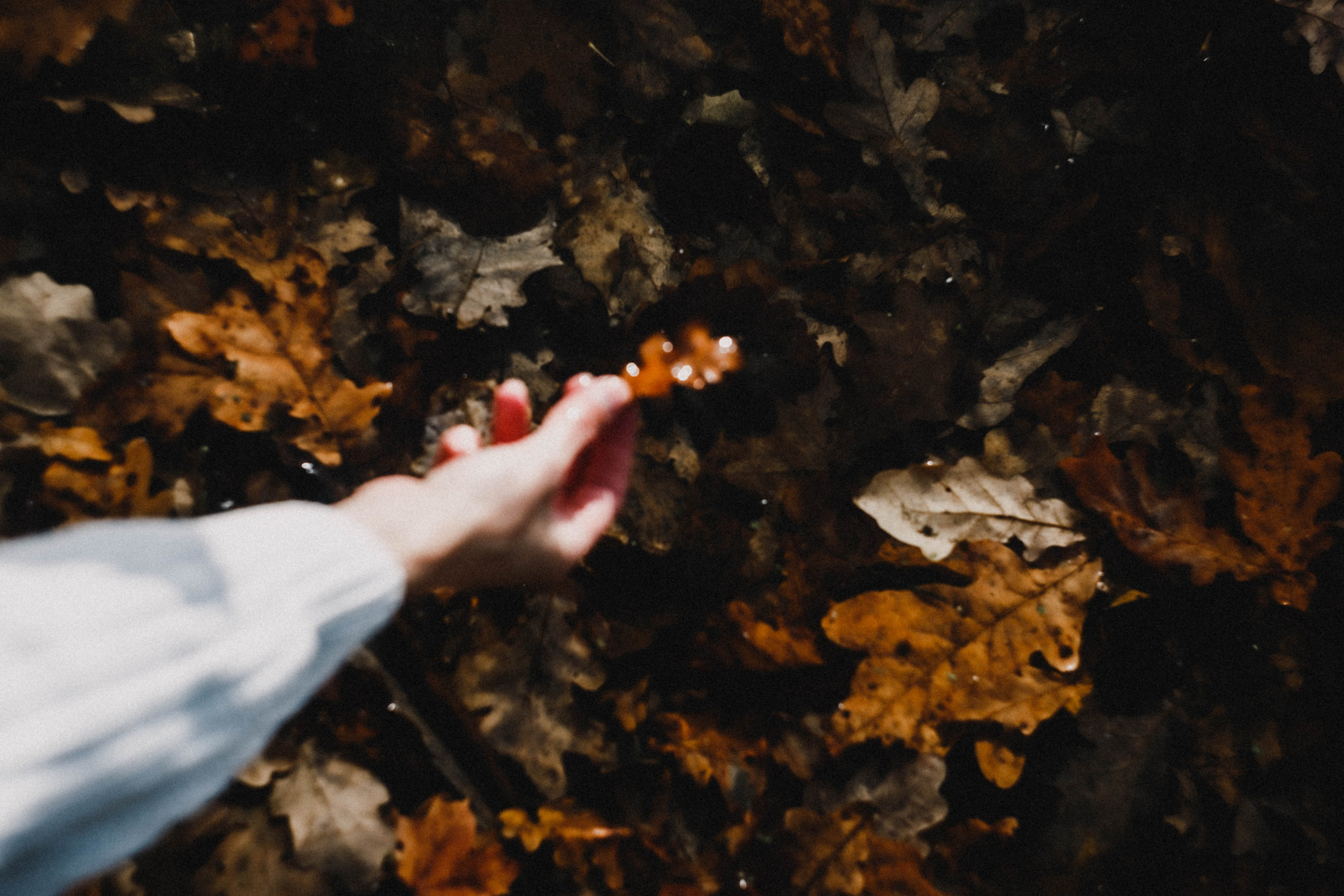 Анна на Щелчке. Осень. Фотограф в Нижнем Новгороде