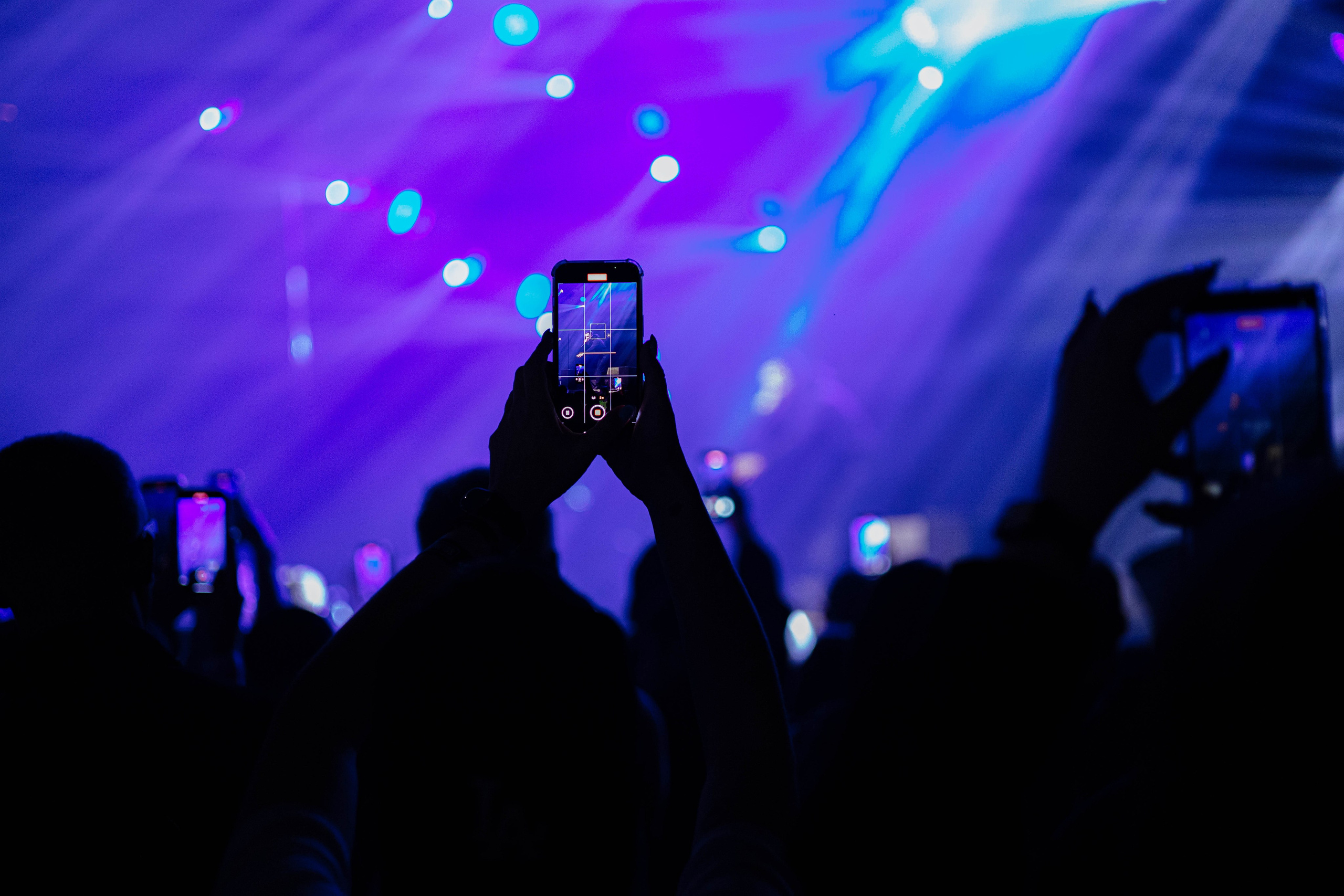 Концерты. Фотограф Татьяна Власова