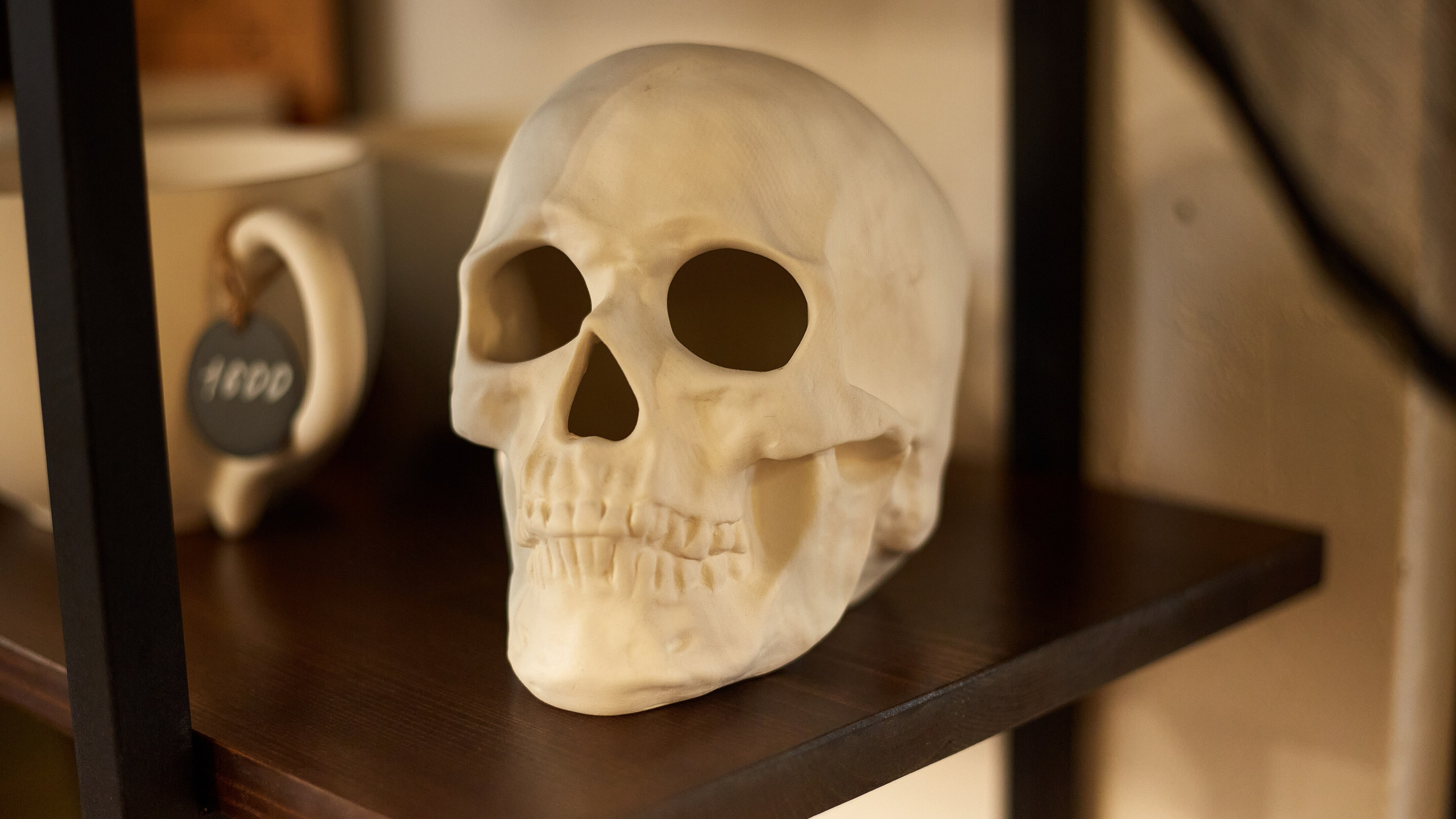 2023-10-20. Risan. Kolokol