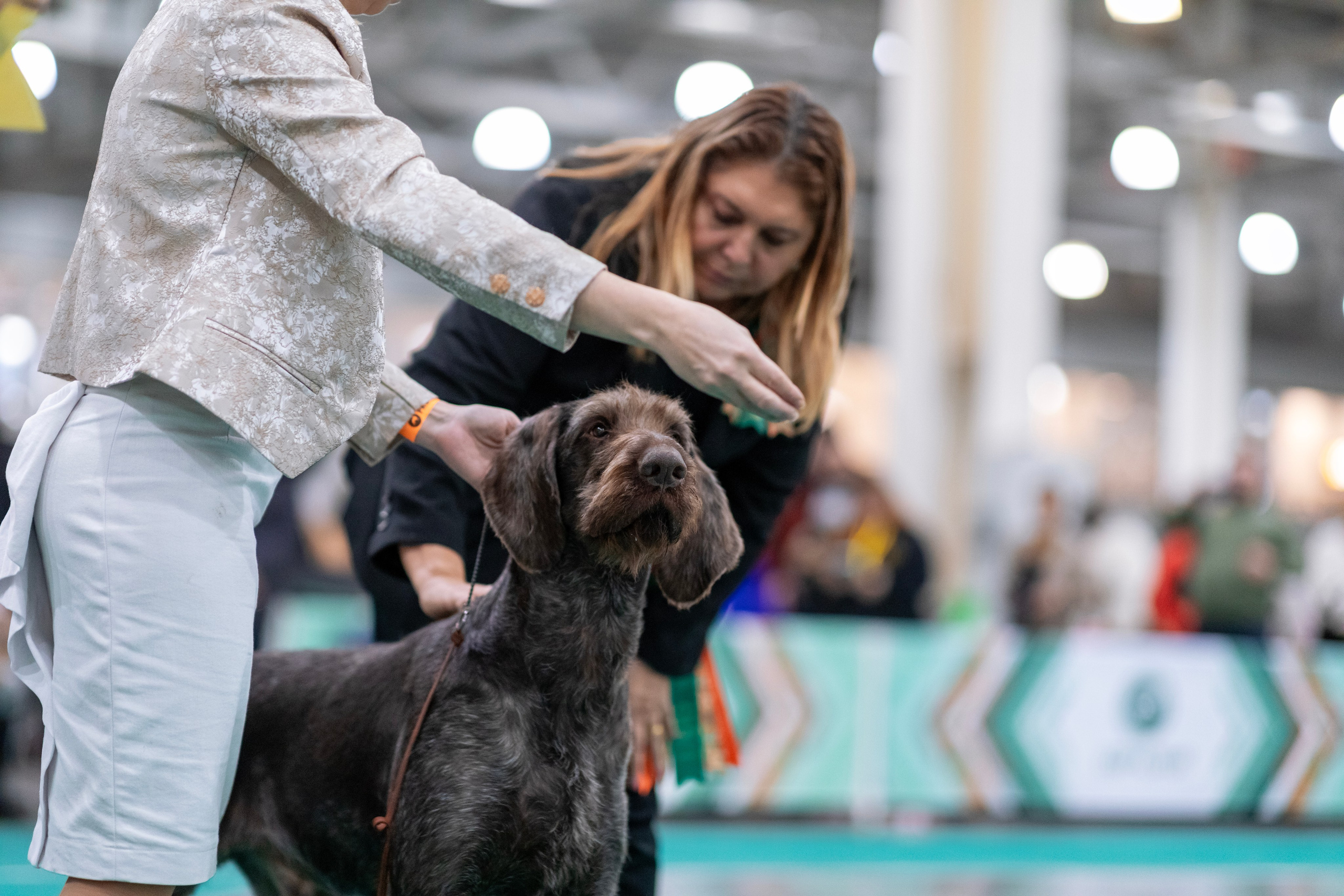 Евразия. Фотограф — анималист Татьяна Ли