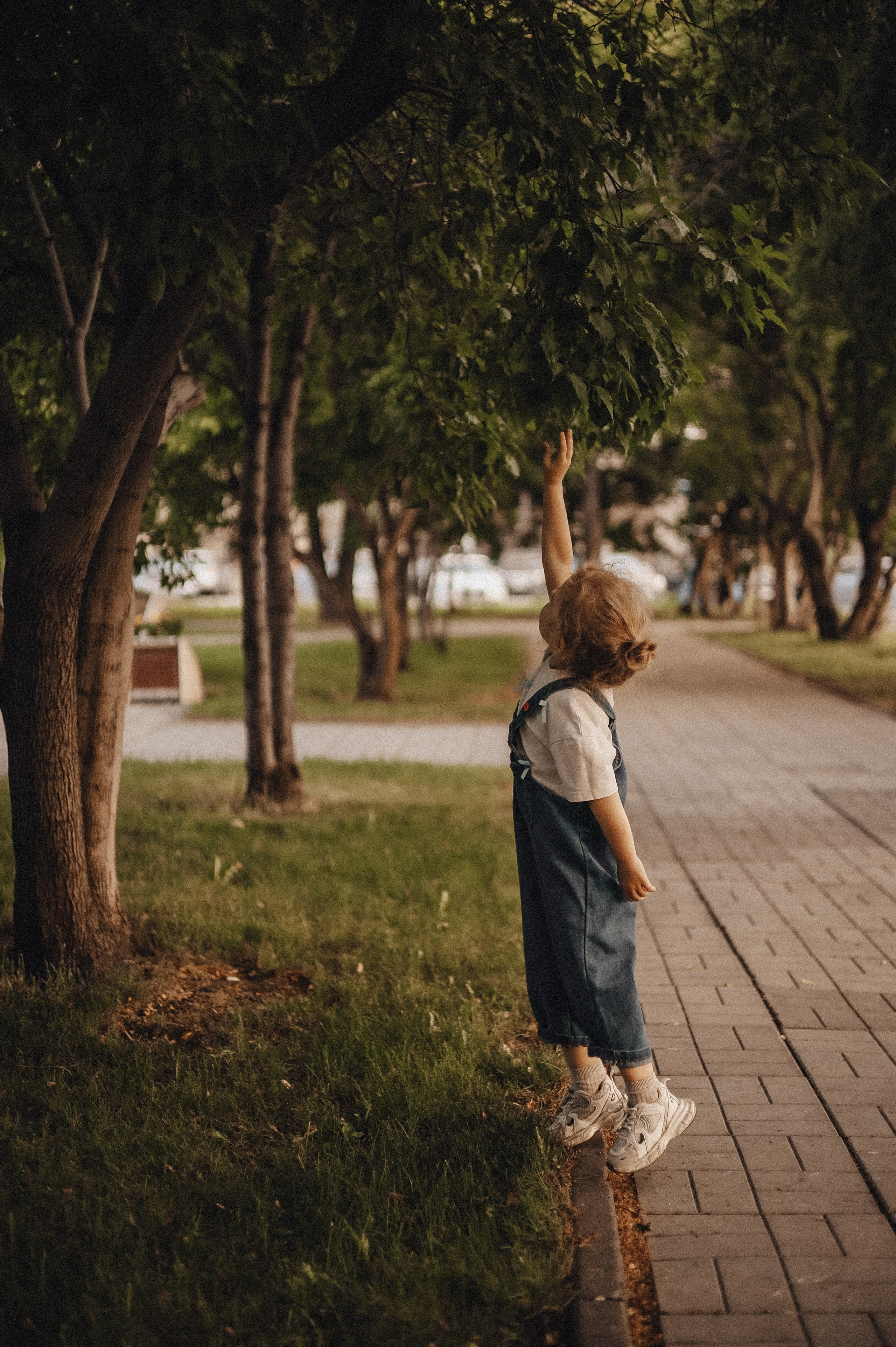 Пресеты. СЕМЕЙНЫЙ ФОТОГРАФ НОВОСИБИРСК