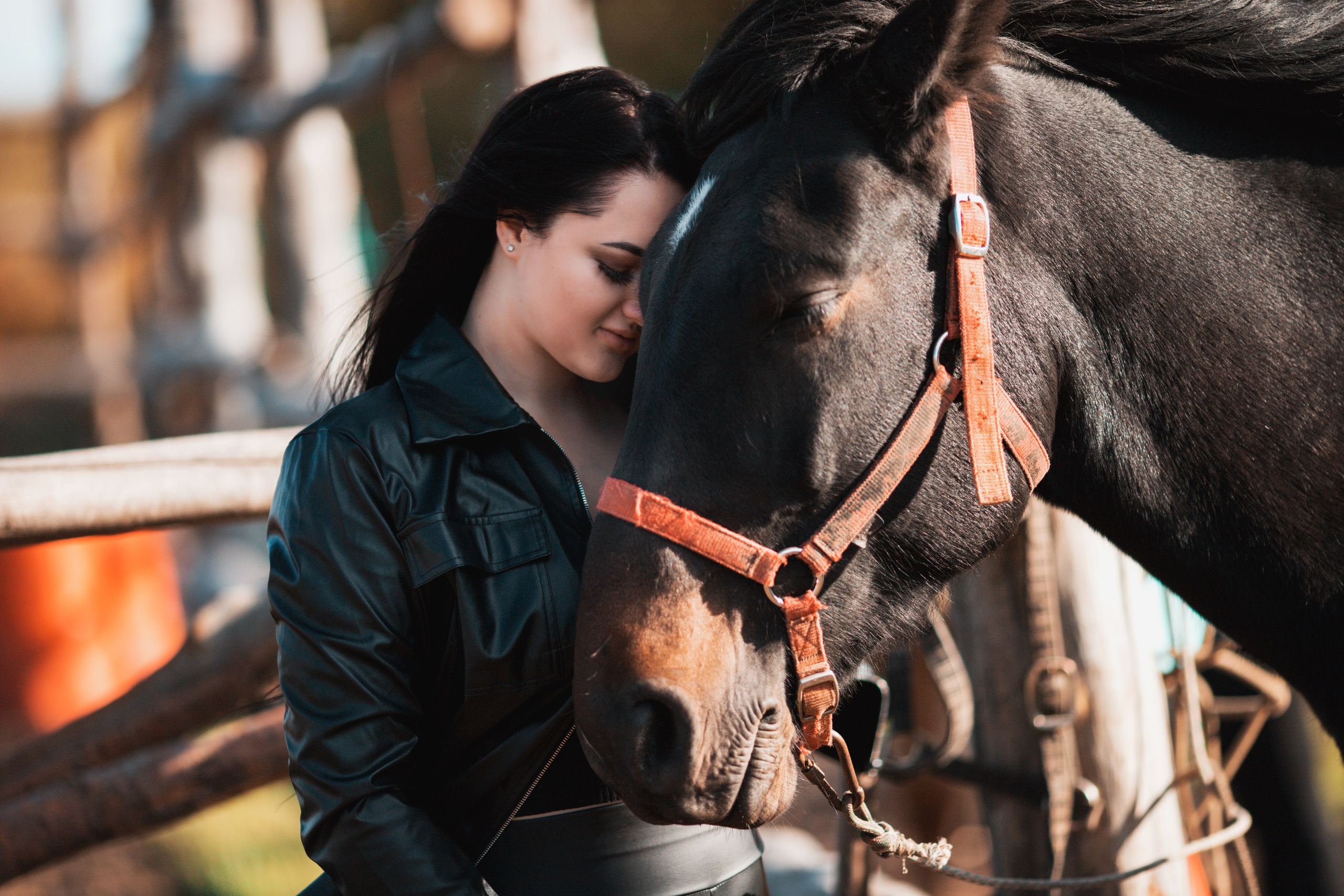Фото с лошадьми. Обо мне
