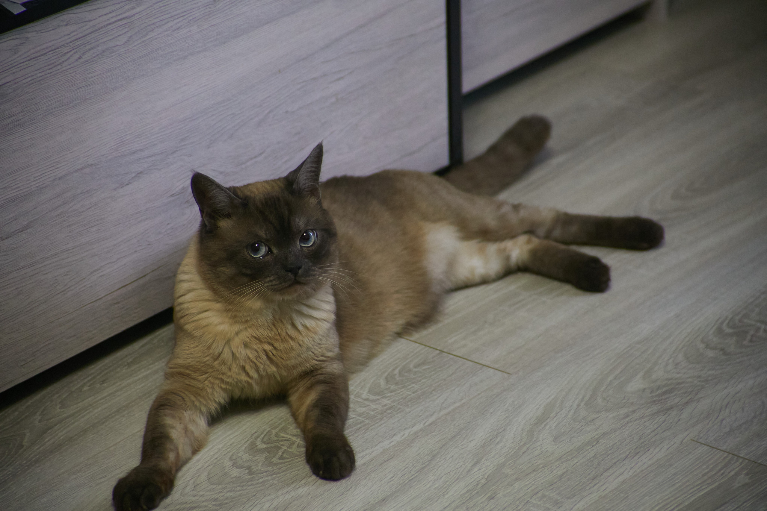 Алексей и Виктория. Свадебный и креативный фотограф в ЮФО и МСК