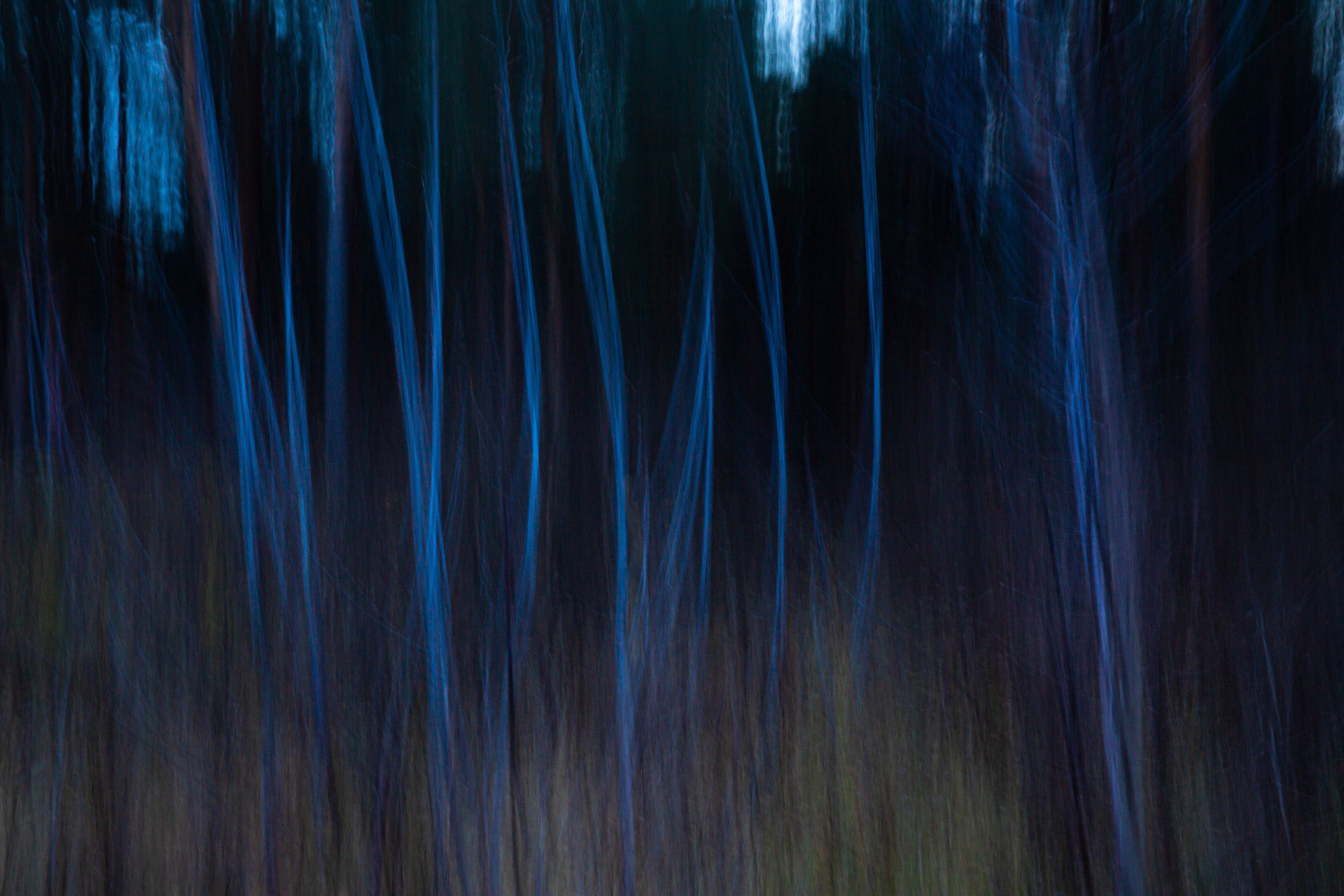 ИГГДРАСИЛЬ, 2025-2026. АННА ВЕРСО / ANNA VERSO | Визуальный художник / Visual artist