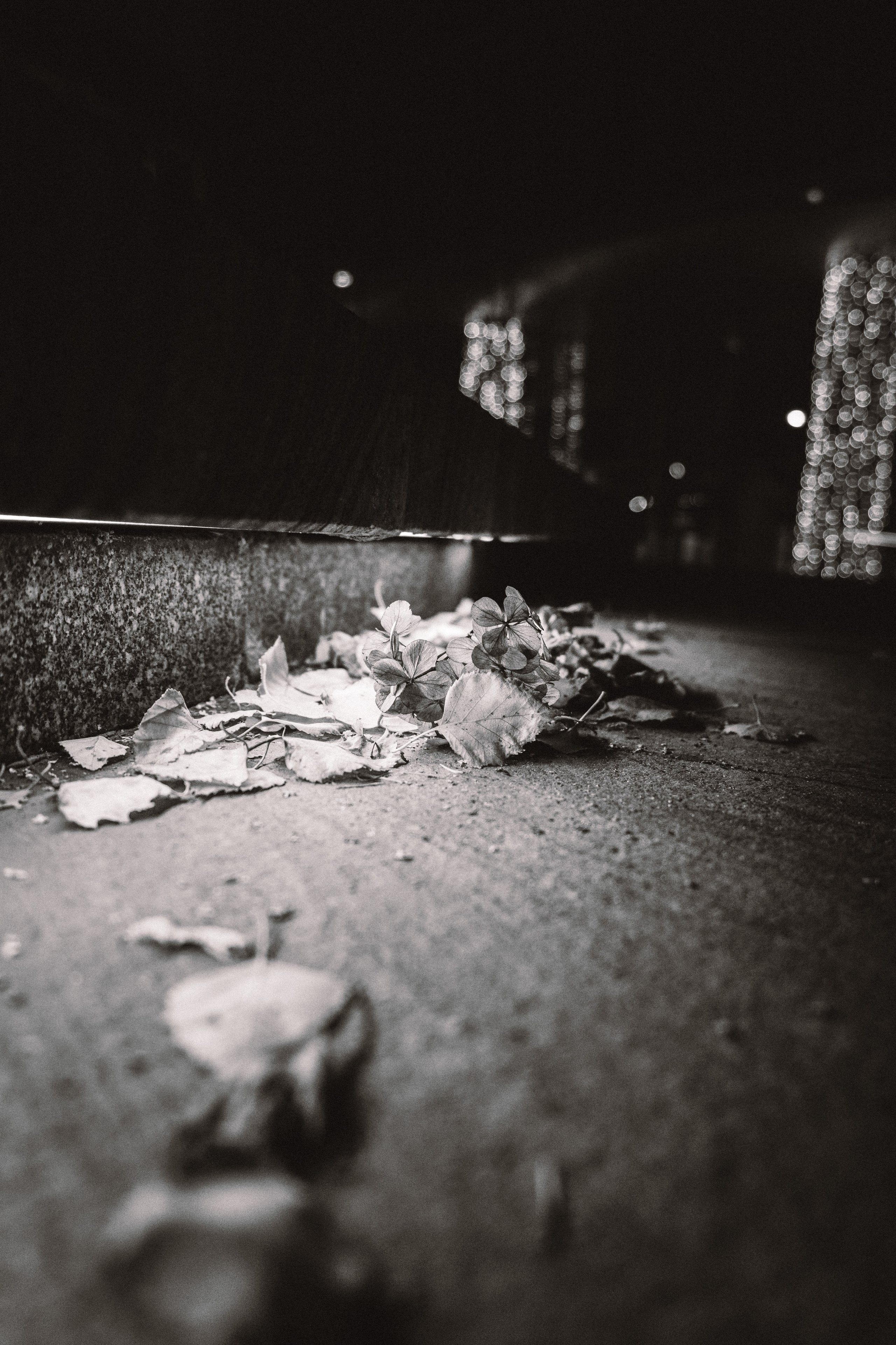 Street. Фотограф в Санкт-Петербурге Шевцов Андрей