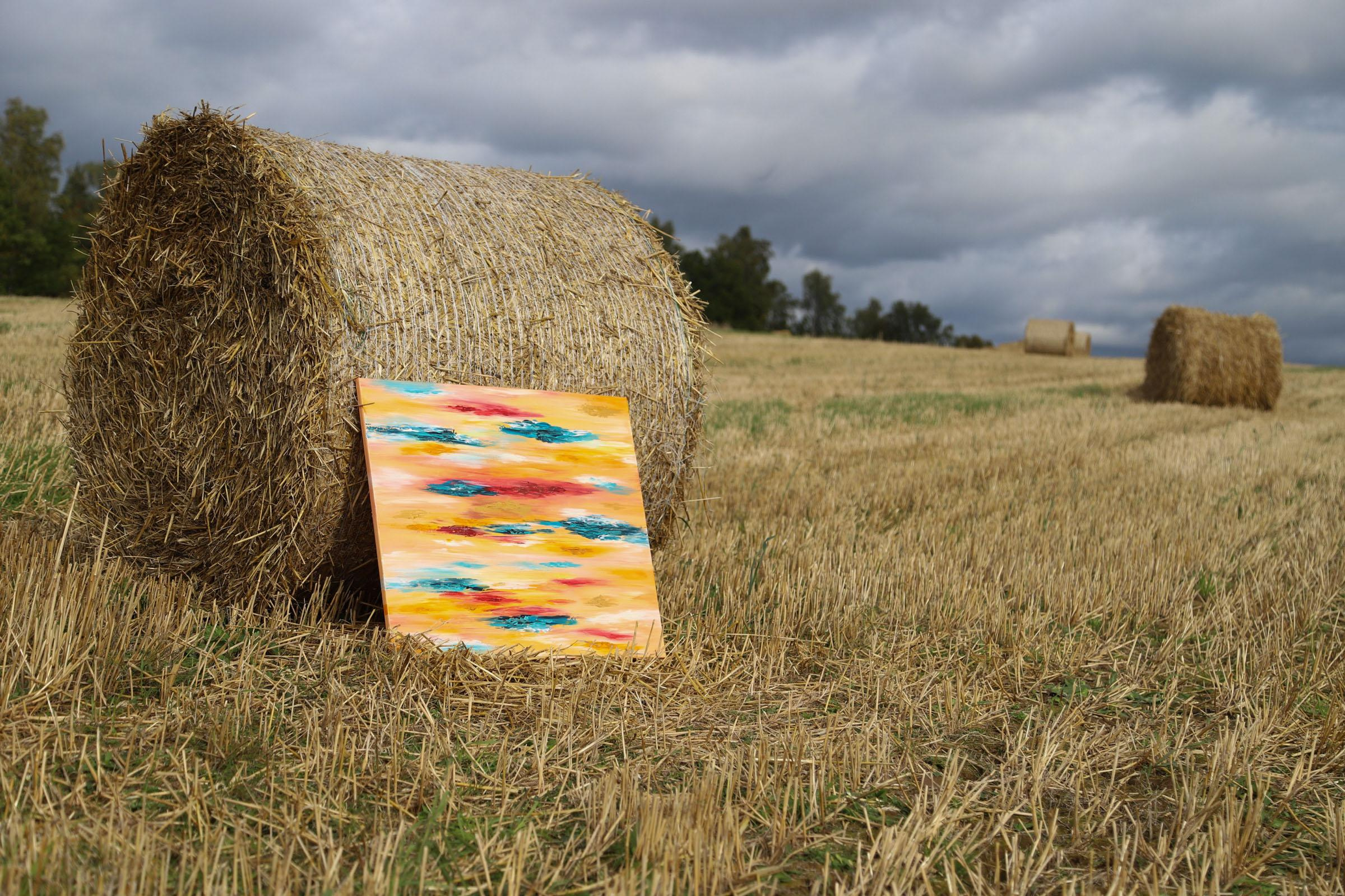 Stasya and field. Home