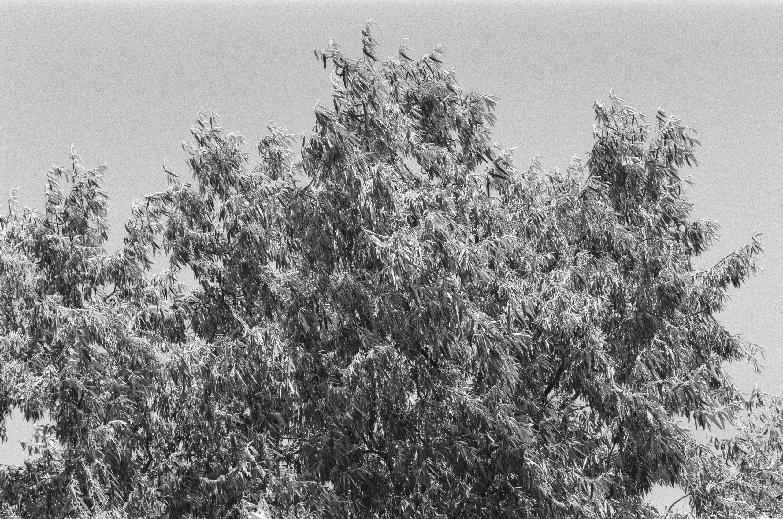 Move me // ukraine, crimea IV. EVER EXPOSED