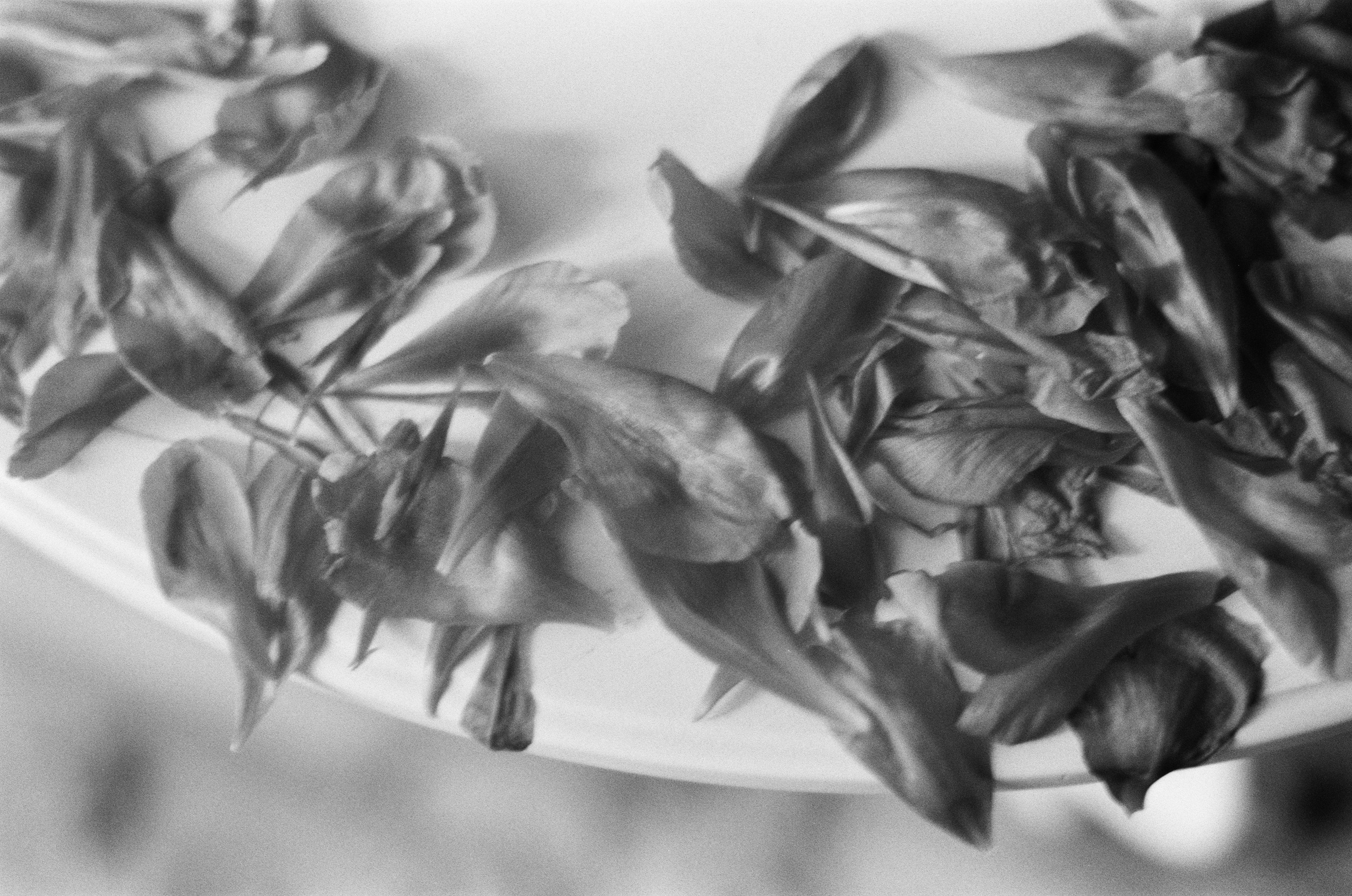 Sparks // ukraine, crimea. EVER EXPOSED