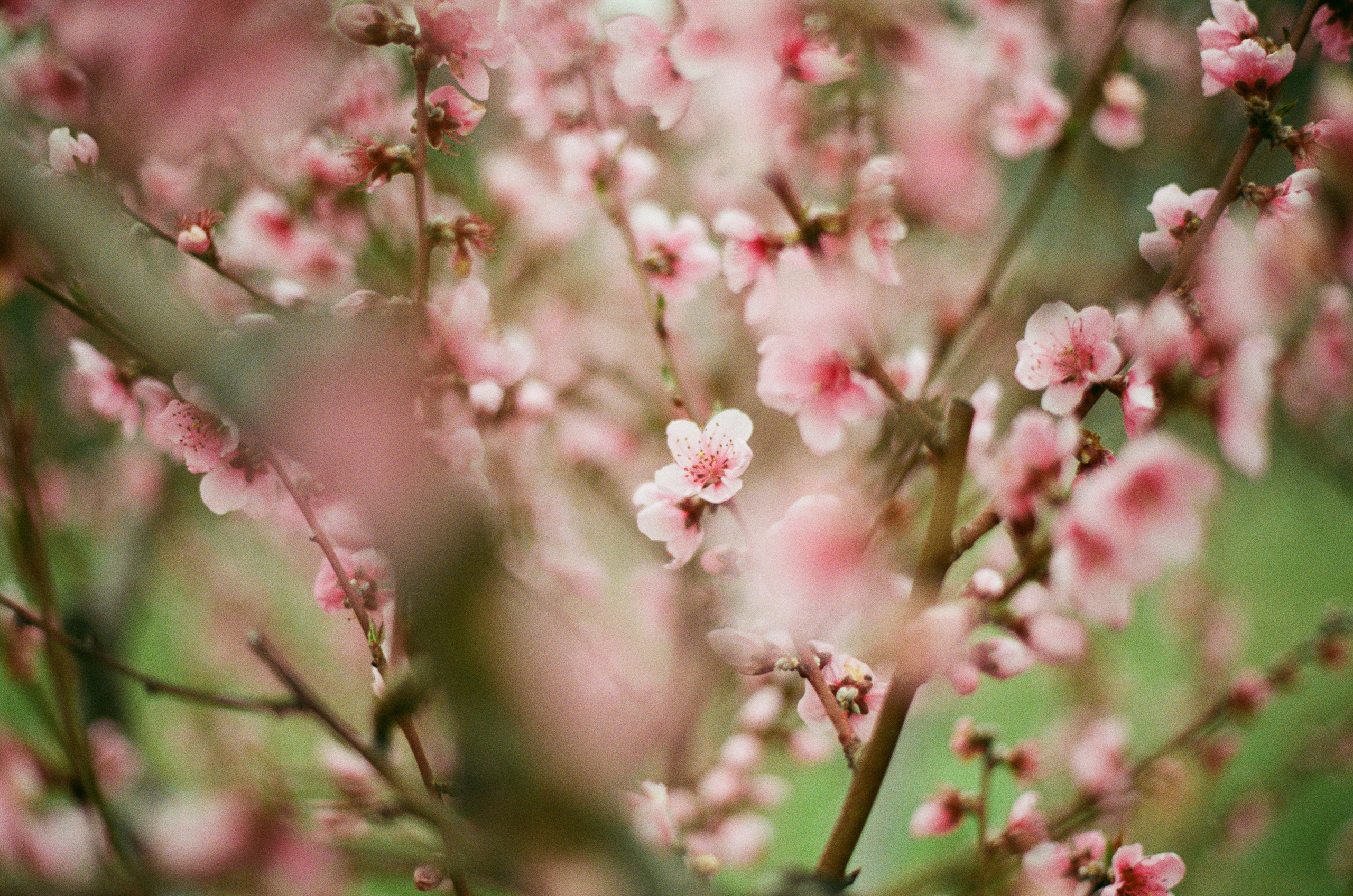 Some kind of madness // ukraine, crimea IV. EVER EXPOSED