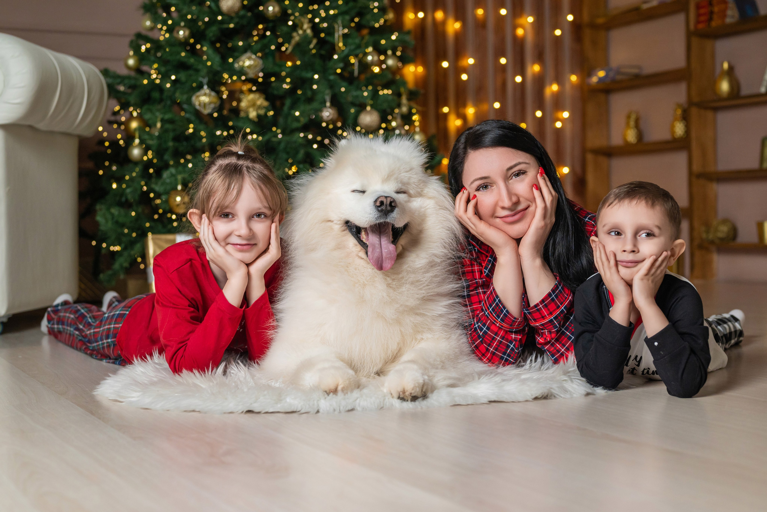 Фотопроект с самоедом 2023 г. Фотограф в городе Салават